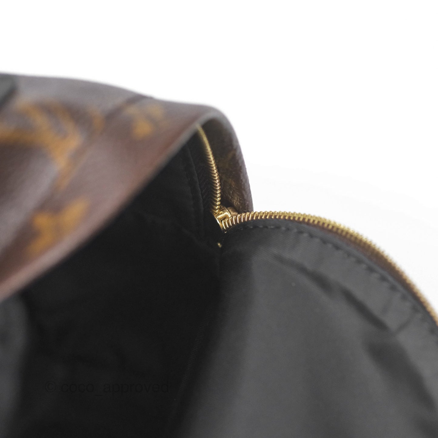 Louis Vuitton Monogram Mini Palm Springs Backpack⁣