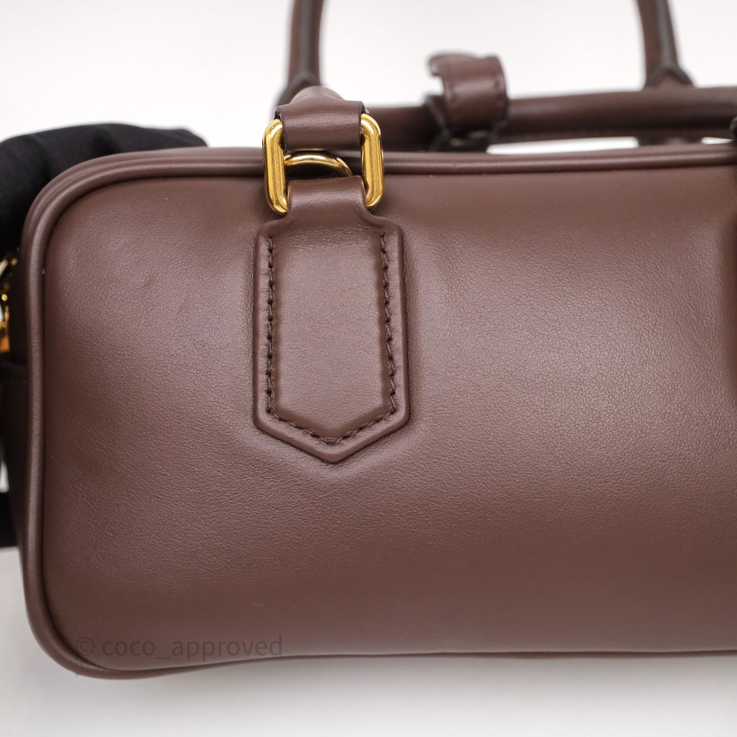 Miu Miu Arcadie Leather Bag Briarwood