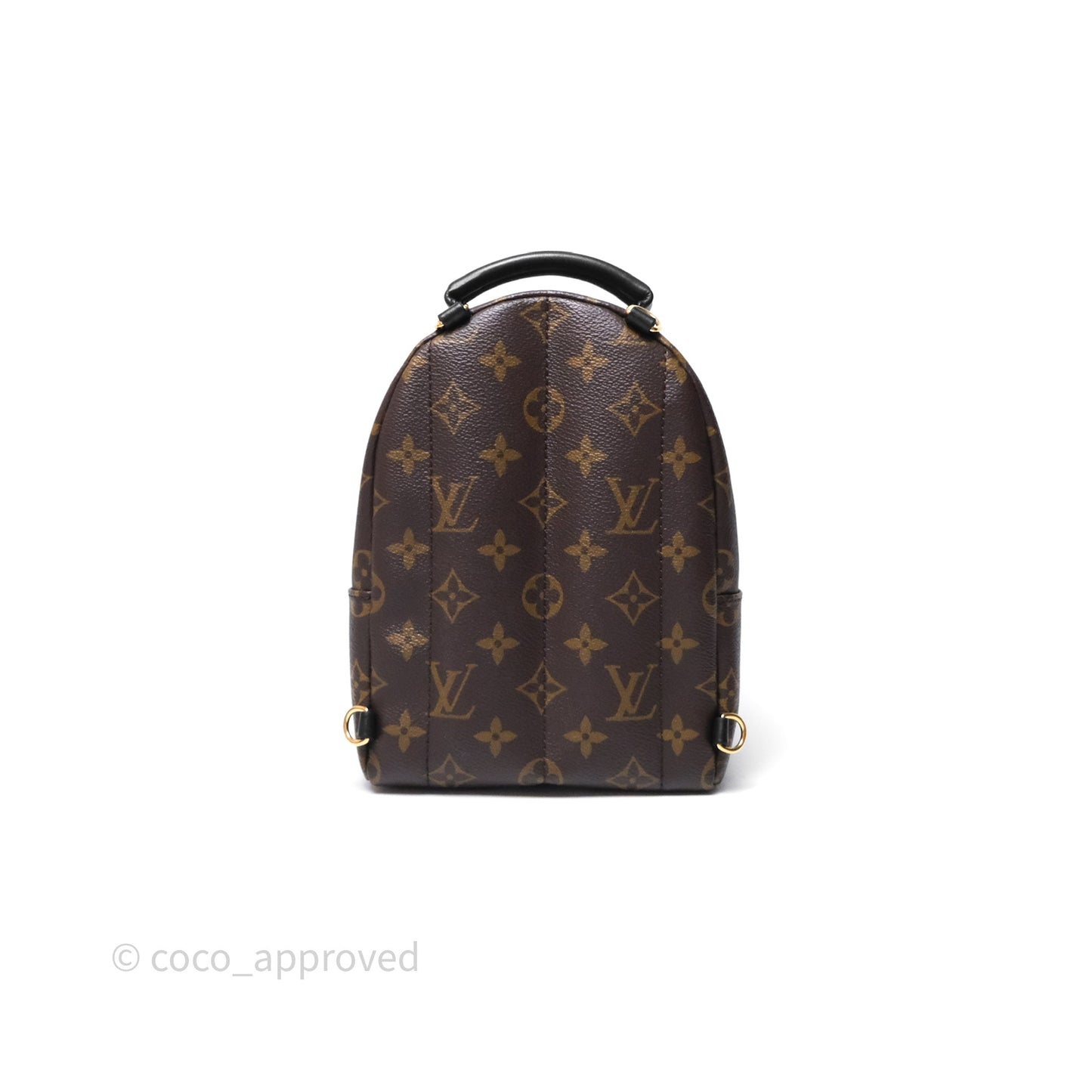 Louis Vuitton Mini Palm Springs Backpack⁣ Monogram
