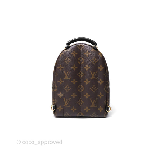 Louis Vuitton Mini Palm Springs Backpack⁣ Monogram