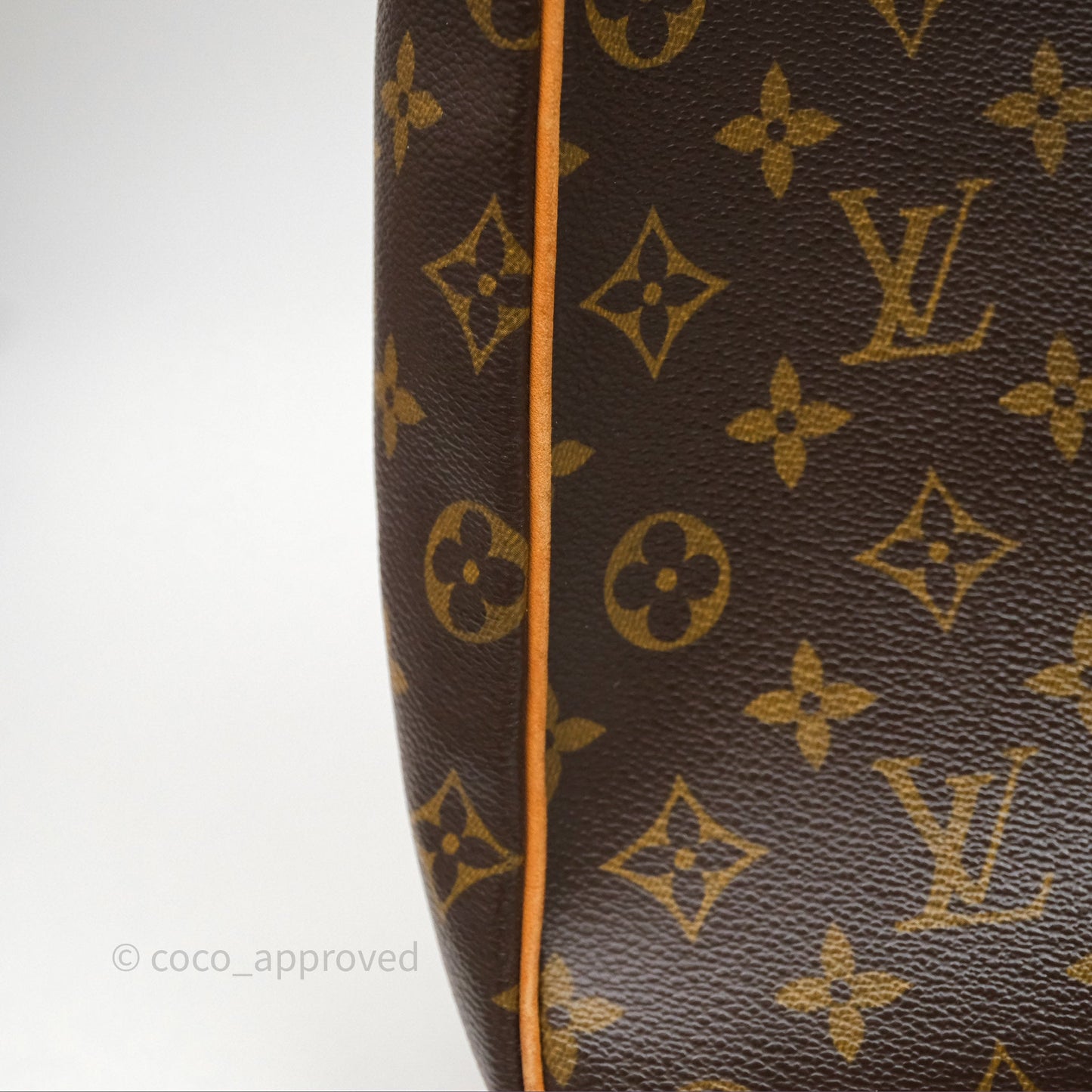 Louis Vuitton Multipli-Cite Tote Monogram Canvas
