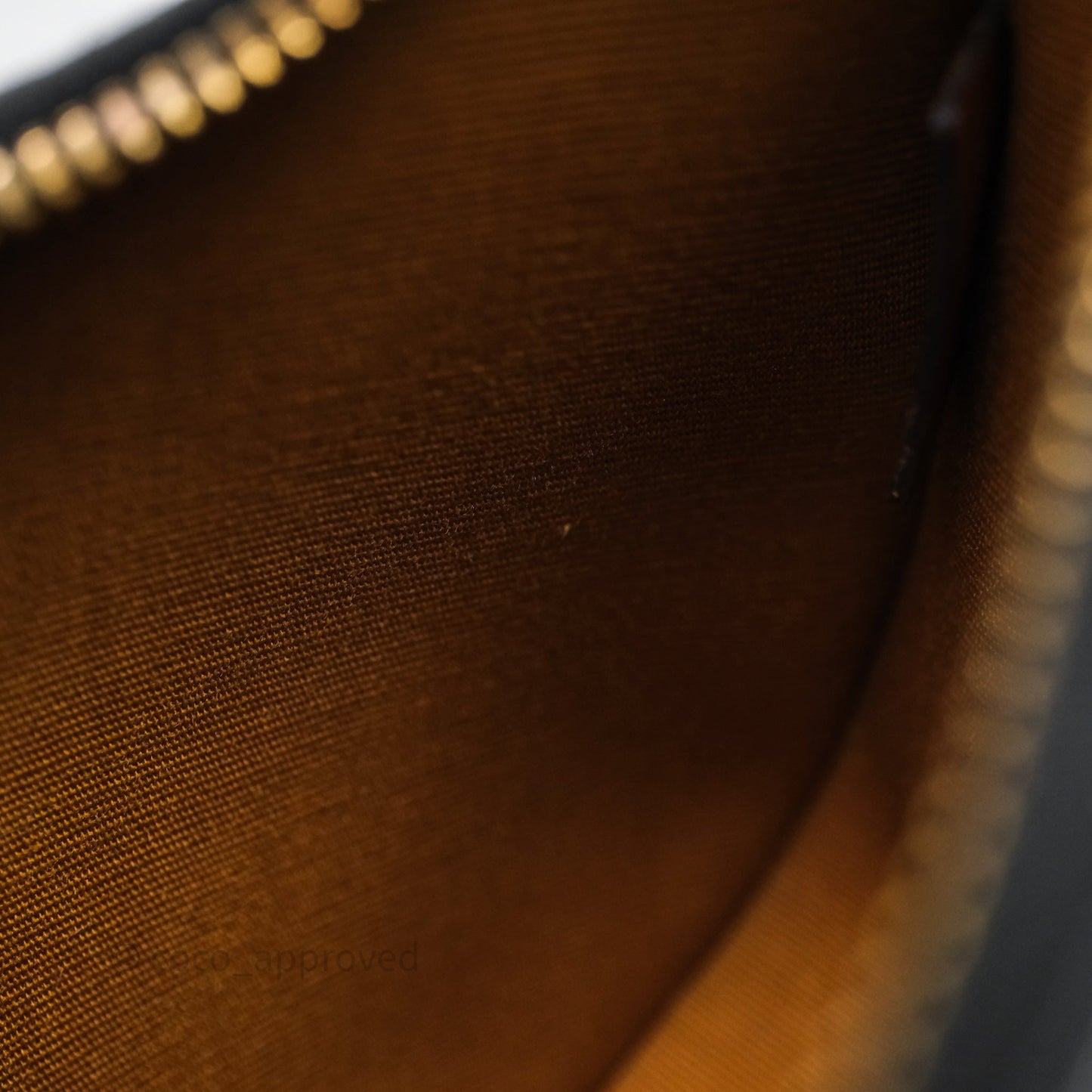 Celine Ava Bag In Triomphe Canvas Calfskin Tan