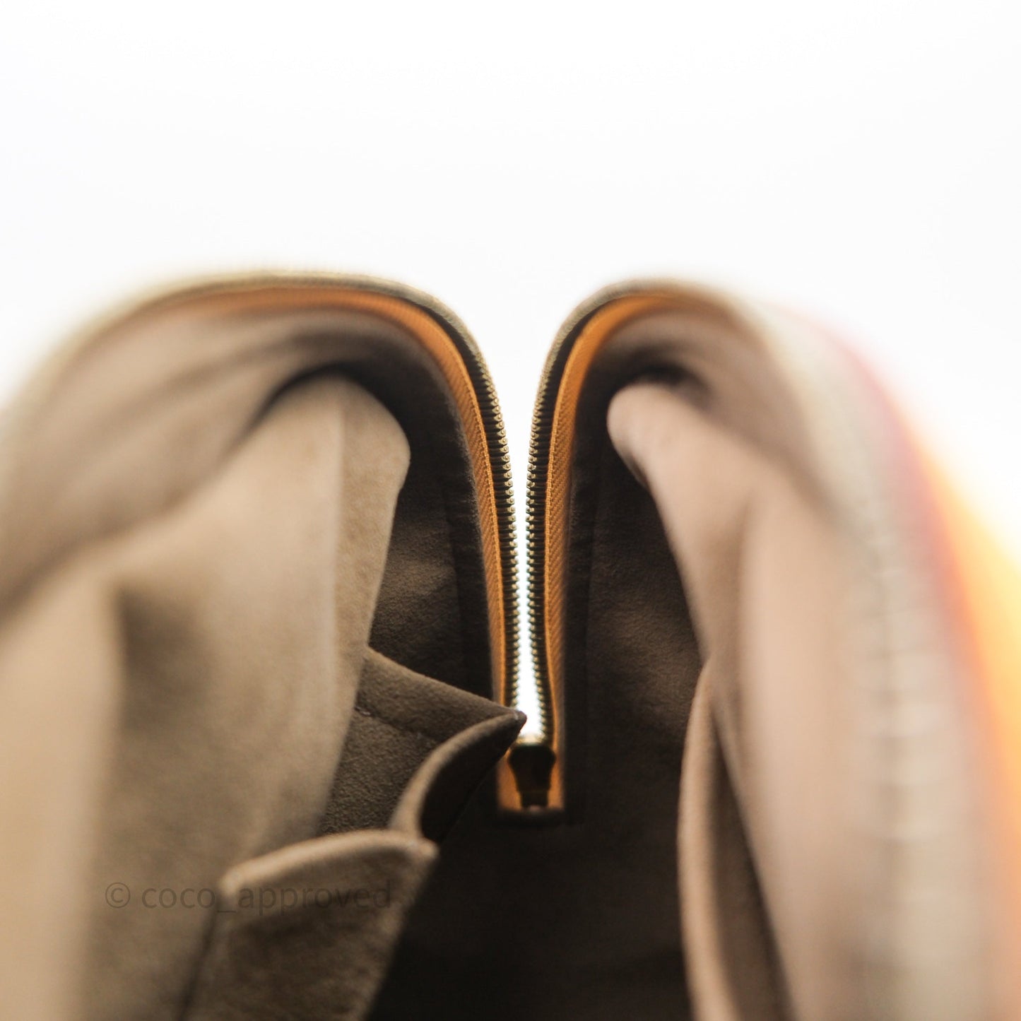 Louis Vuitton x TM Priscilla Bag Multicolor Monogram Canvas