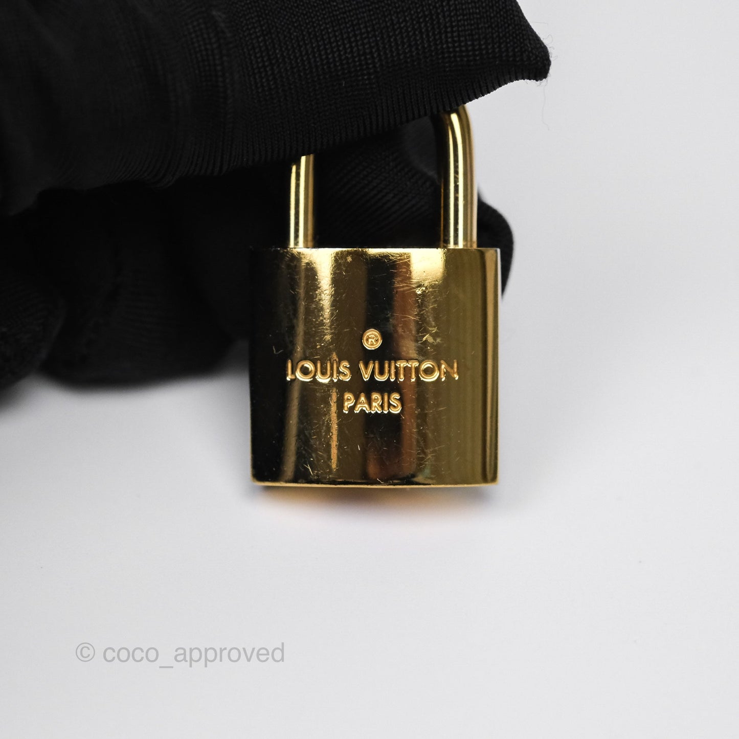 Louis Vuitton Reverse Monogram Vanity PM