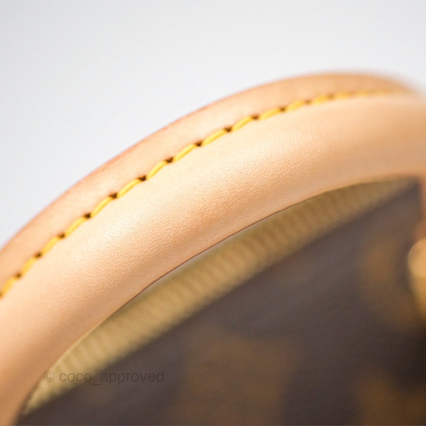 Louis Vuitton Speedy Bandoulière 20 Monogram