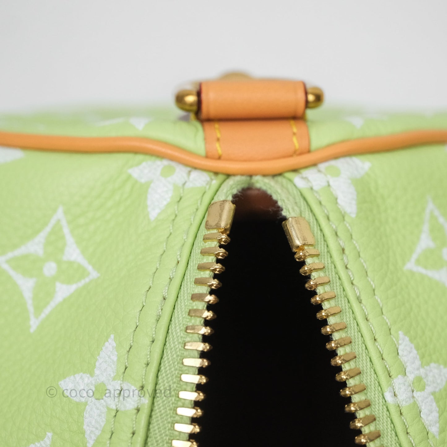 Louis Vuitton Speedy P9 Bandouliere 30 Vert Clair Bag