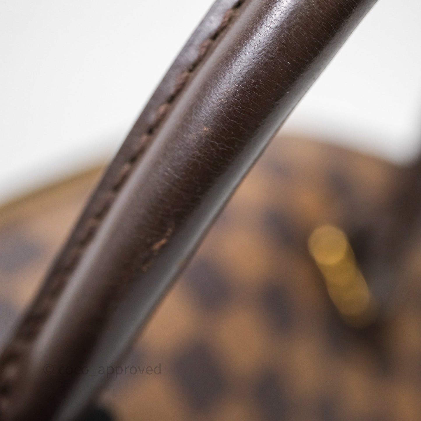 Louis Vuitton Ribera Damier Ebene Canvas