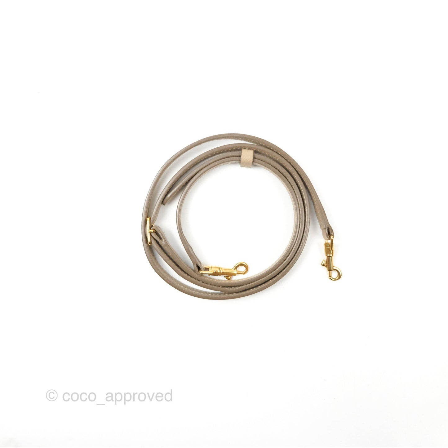 Celine Nano Belt Bag Light Taupe Grained Calfskin Gold Hardware