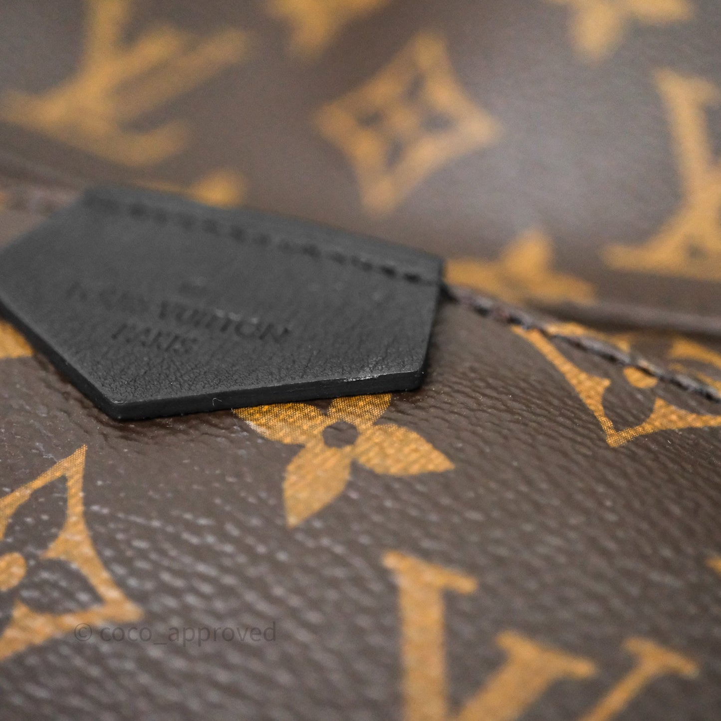 Louis Vuitton Palm Springs Backpack⁣ Monogram PM