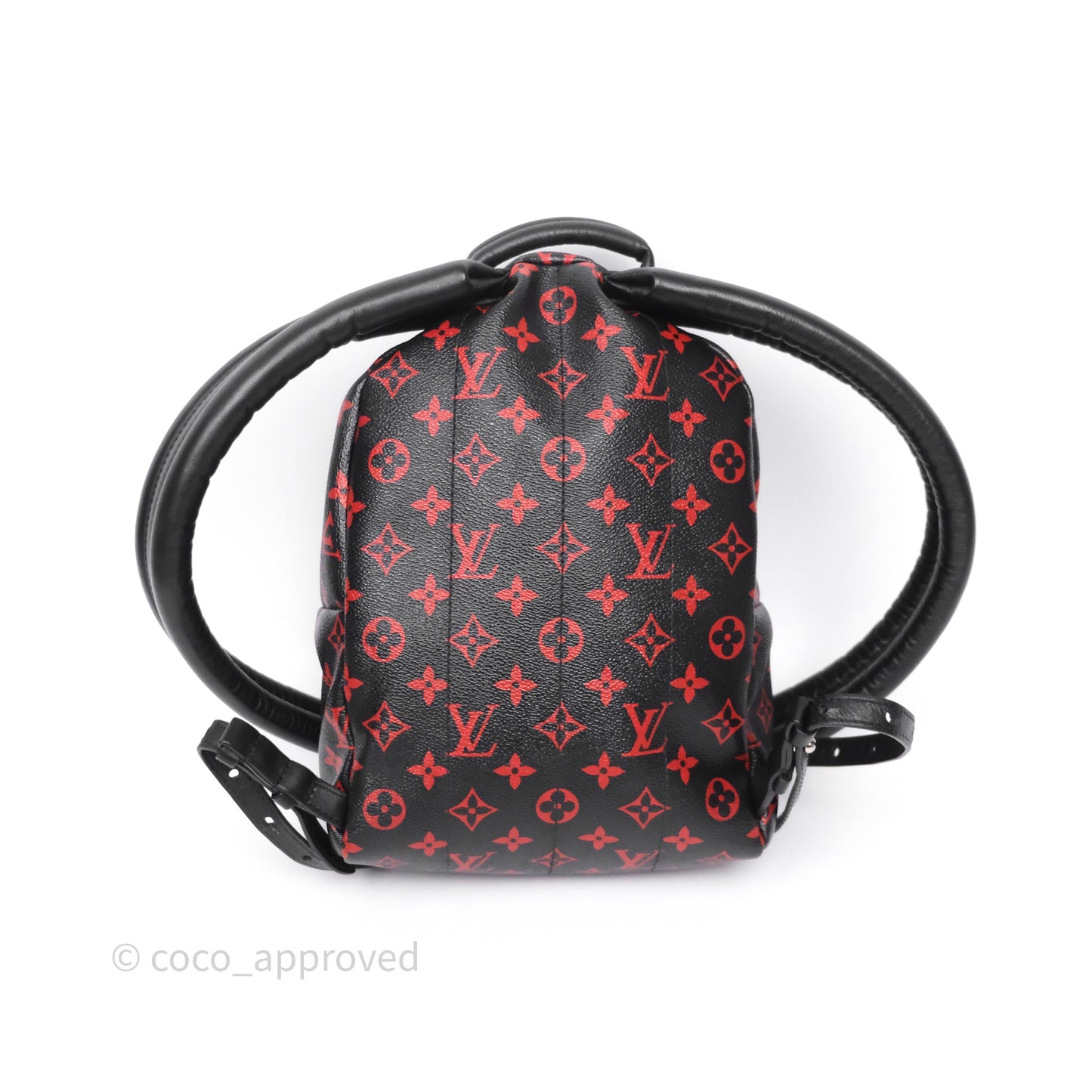 Louis Vuitton Palm Springs Backpack⁣ Monogram PM Infrarouge