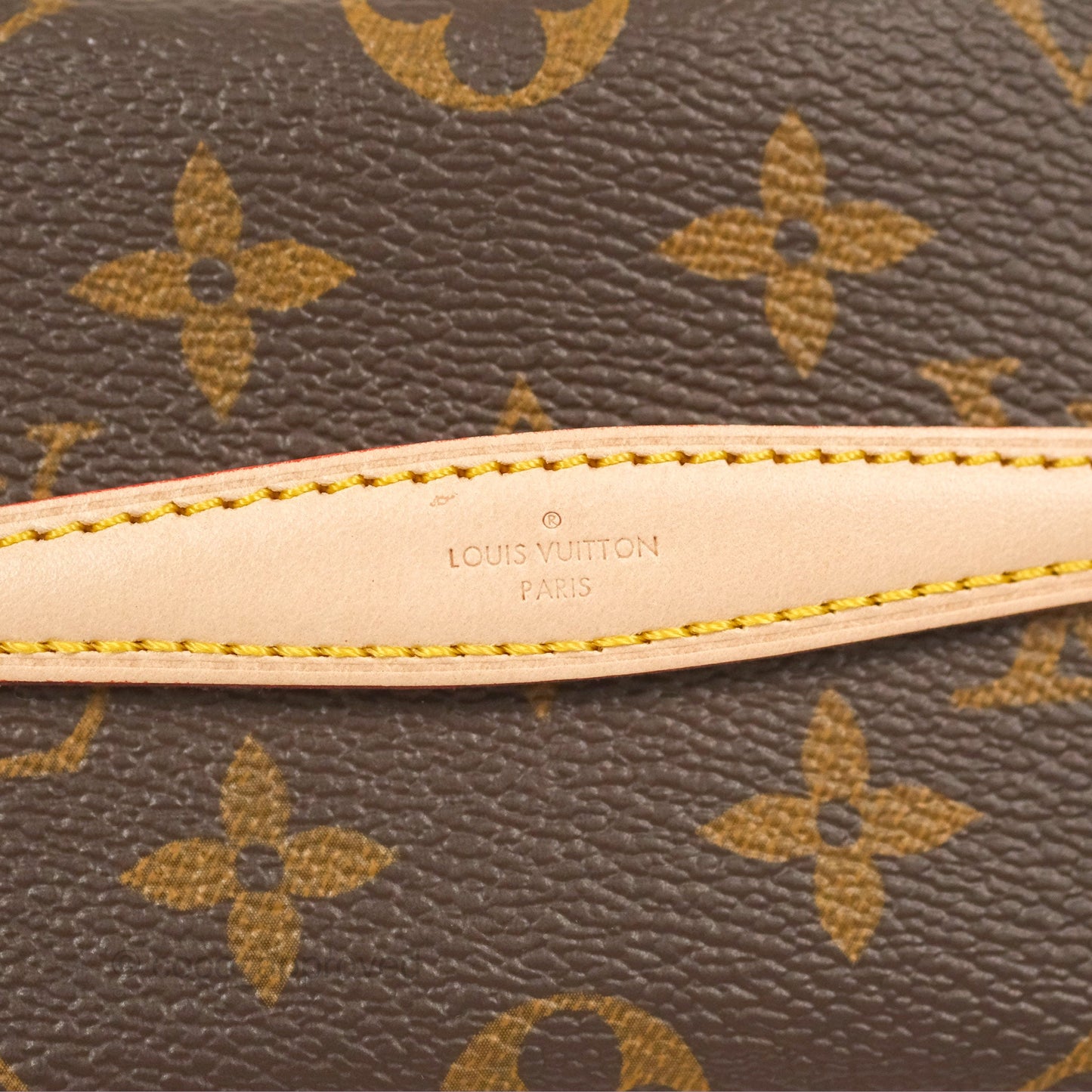 Louis Vuitton Nano Nice Monogram