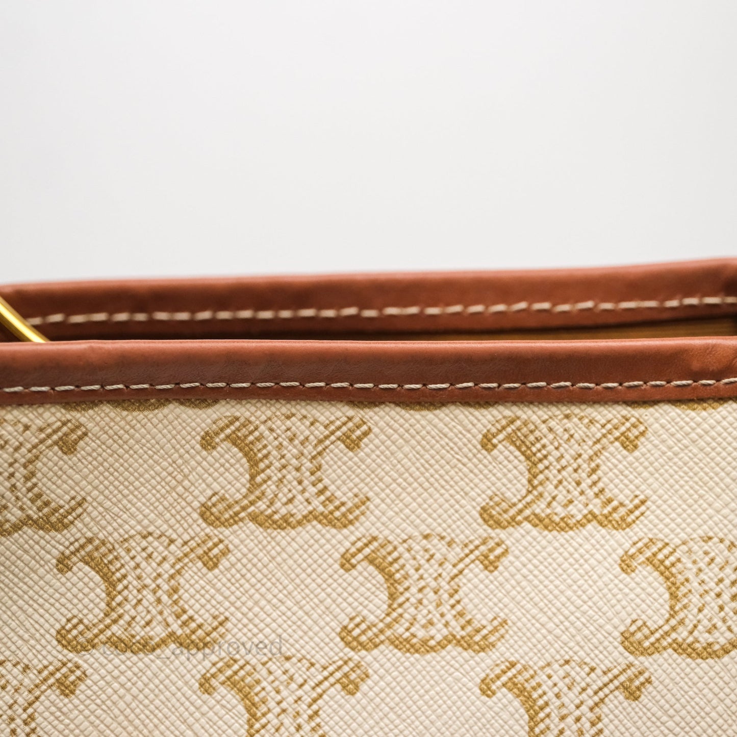 Celine Small Bucket Triomphe Canvas Grege Calfskin