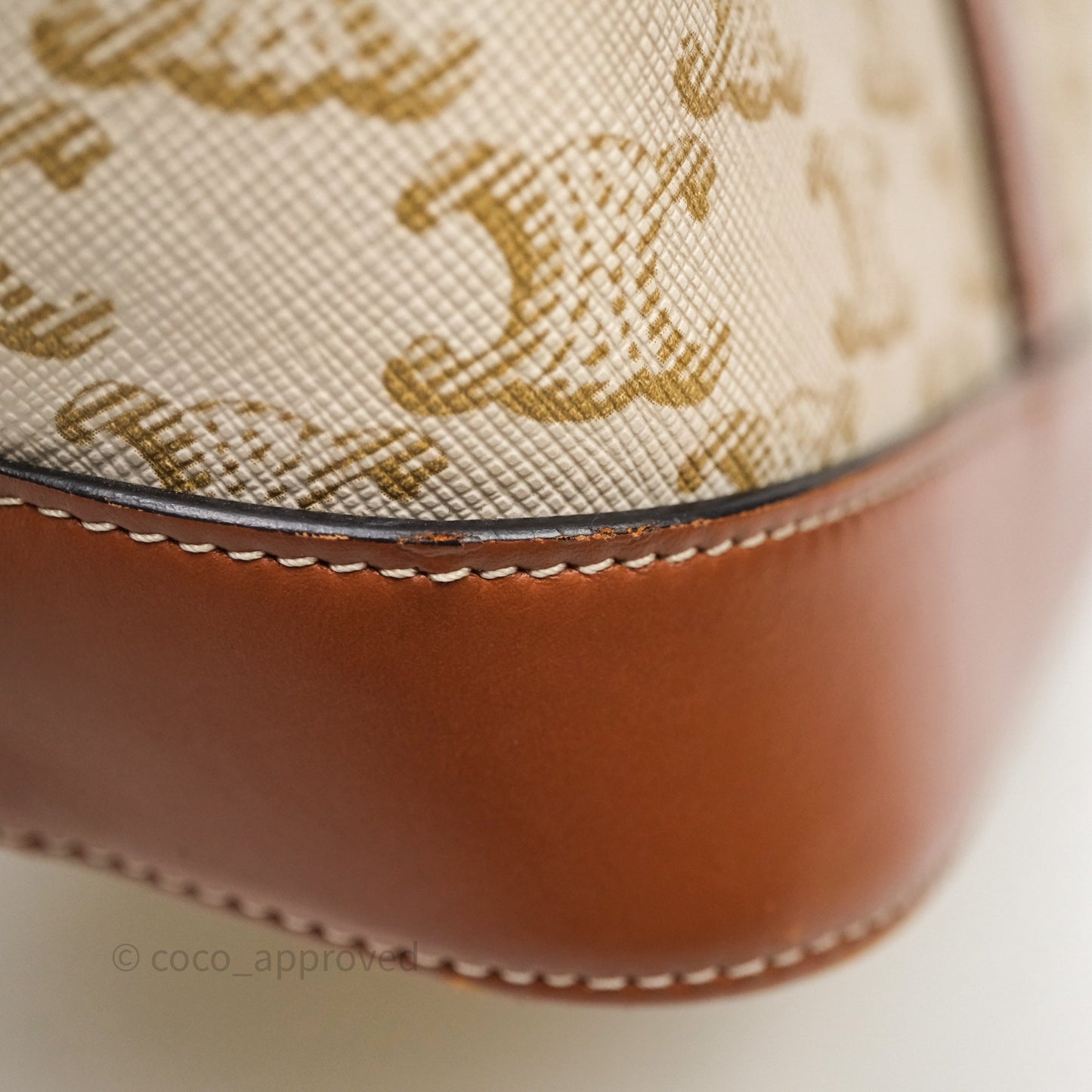 Celine Small Bucket Triomphe Canvas Grege Calfskin