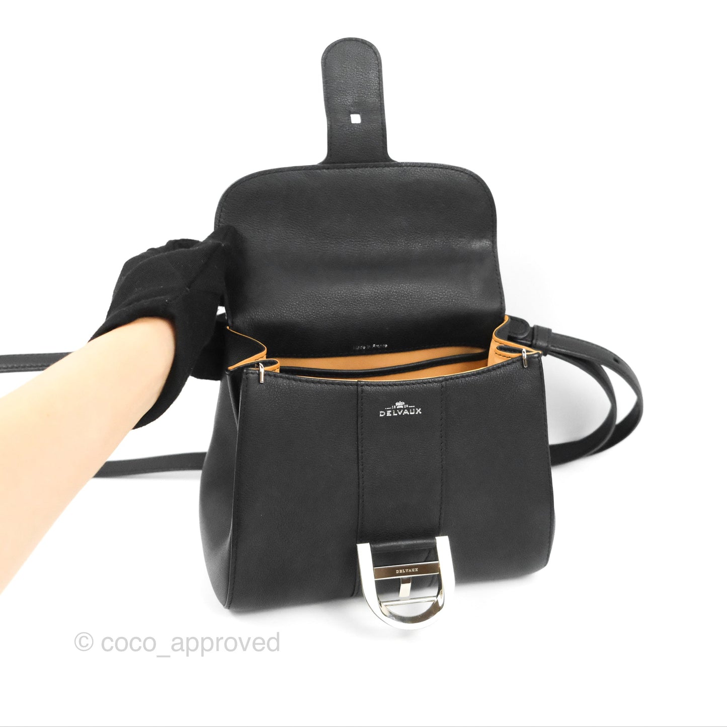 Delvaux Mini Brillant Bag Vegetal Rodeo Black Calf Silver Hardware