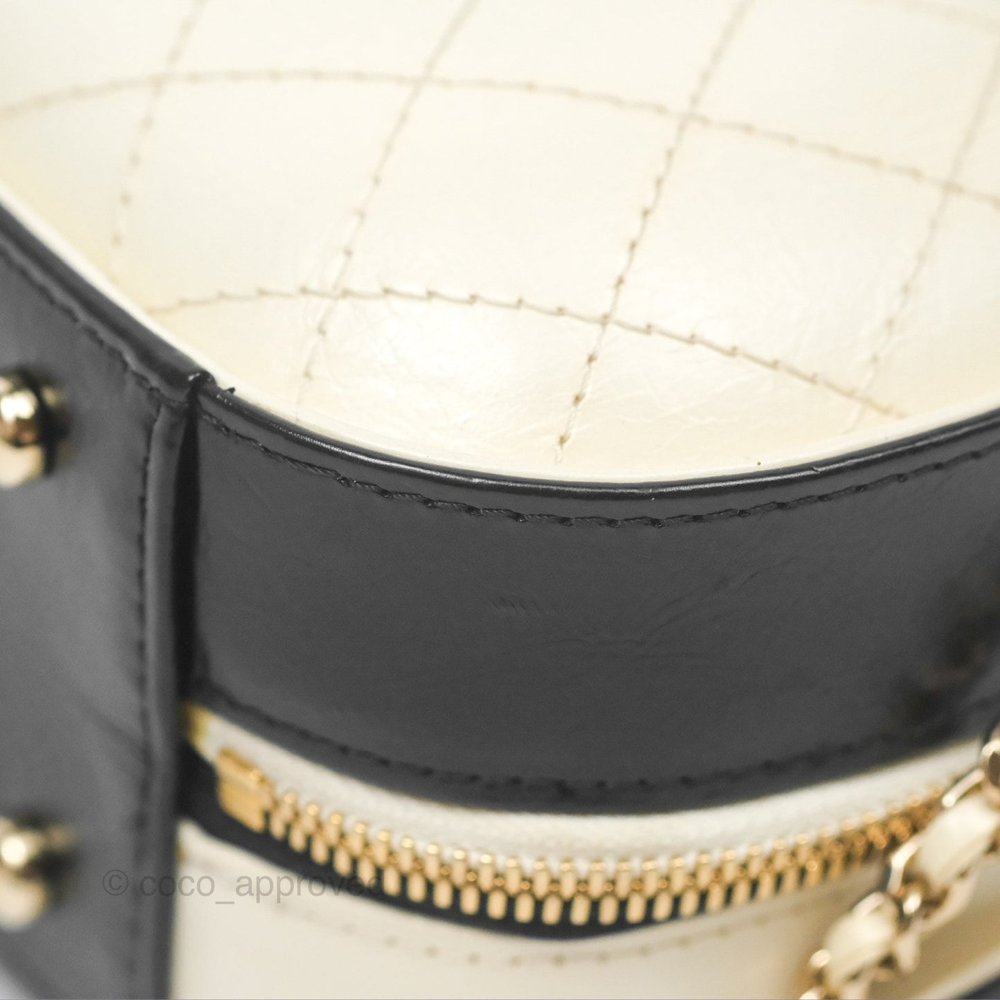 Chanel Camera Case Bag Black/White Calfskin Gold Hardware