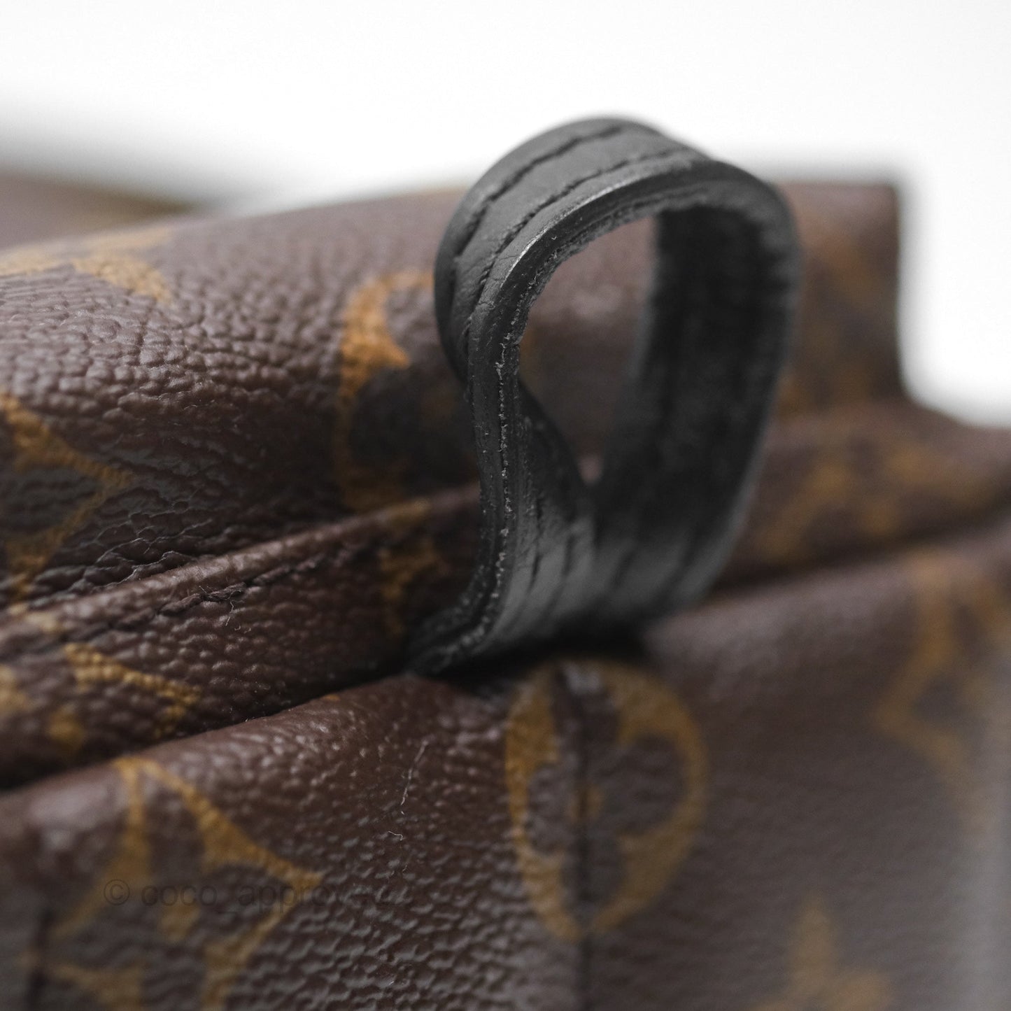 Louis Vuitton Monogram Mini Palm Springs Backpack⁣