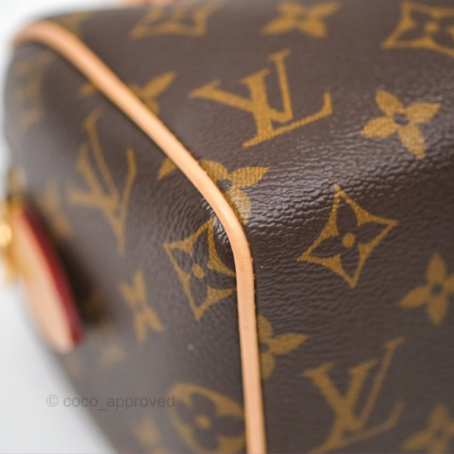 Louis Vuitton Speedy Bandoulière 20 Monogram