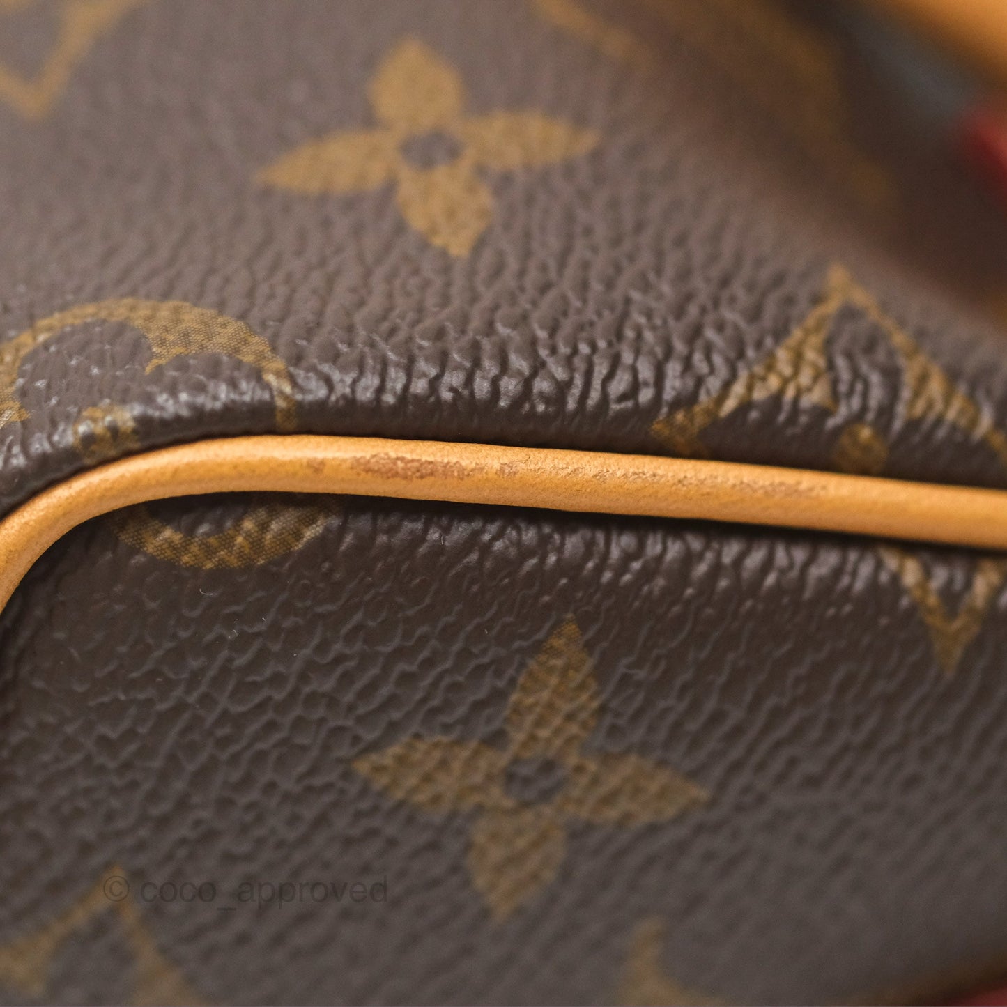 Louis Vuitton Nano Speedy Monogram