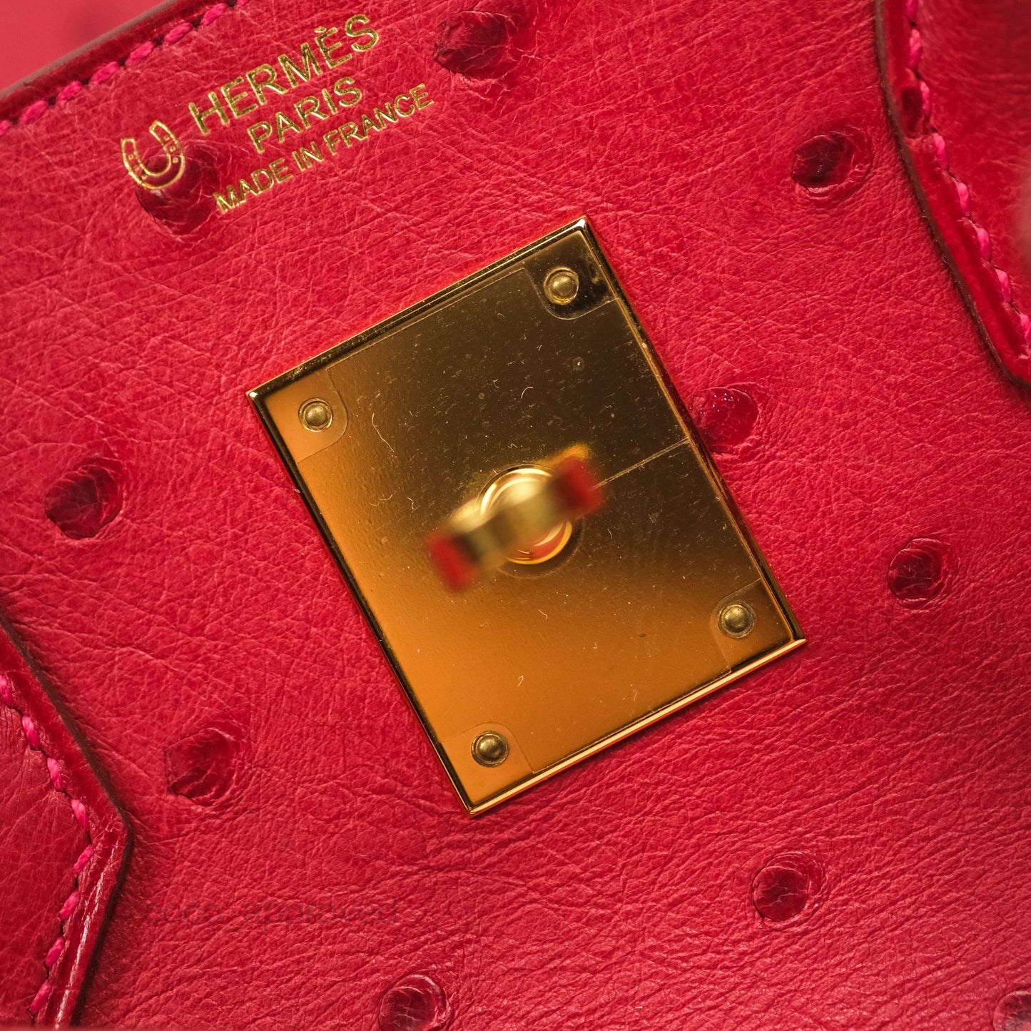 Hermès Birkin Retourne 30 Rouge Vif 53 Ostrich Gold Hardware
