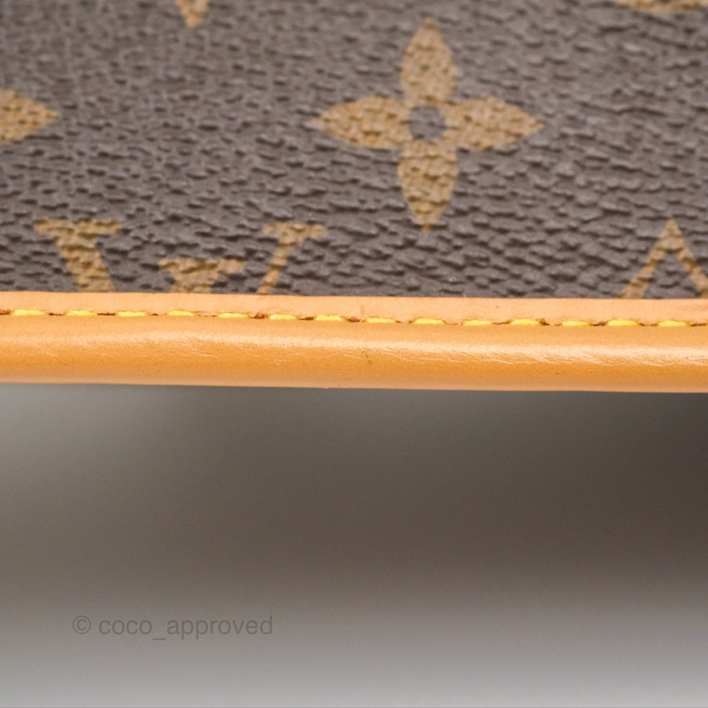 Louis Vuitton Diane Bag Monogram Canvas with Jacquard Strap