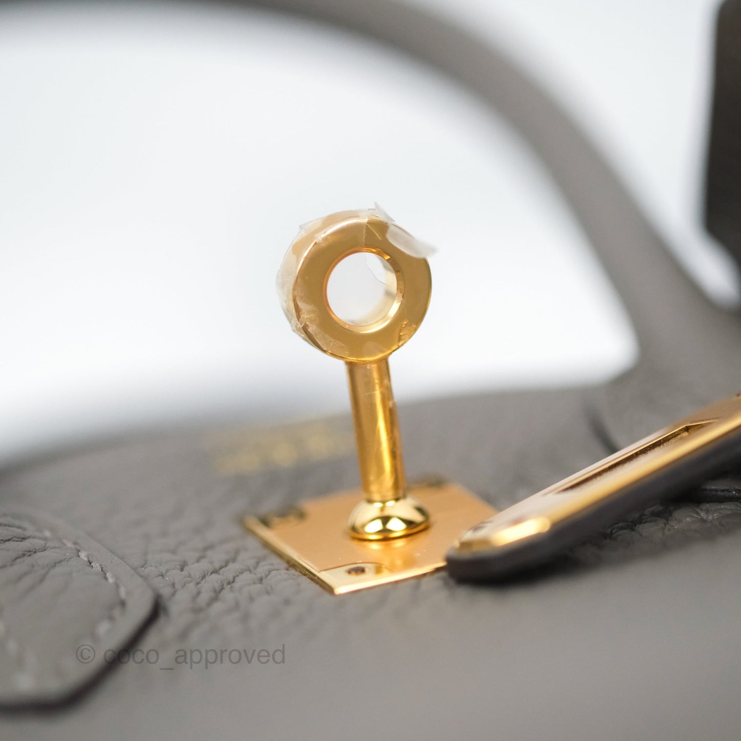 Hermes Birkin 25 Retourne Gris Meyer 0L Togo Gold Hardware
