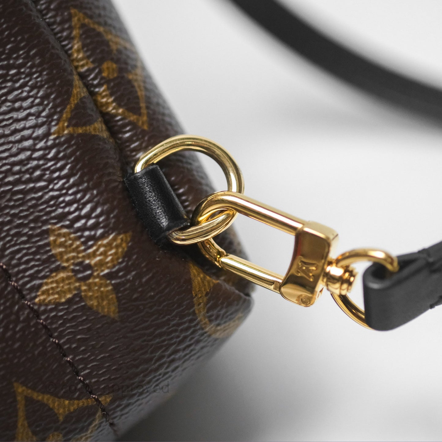 Louis Vuitton Monogram Mini Palm Springs Backpack⁣