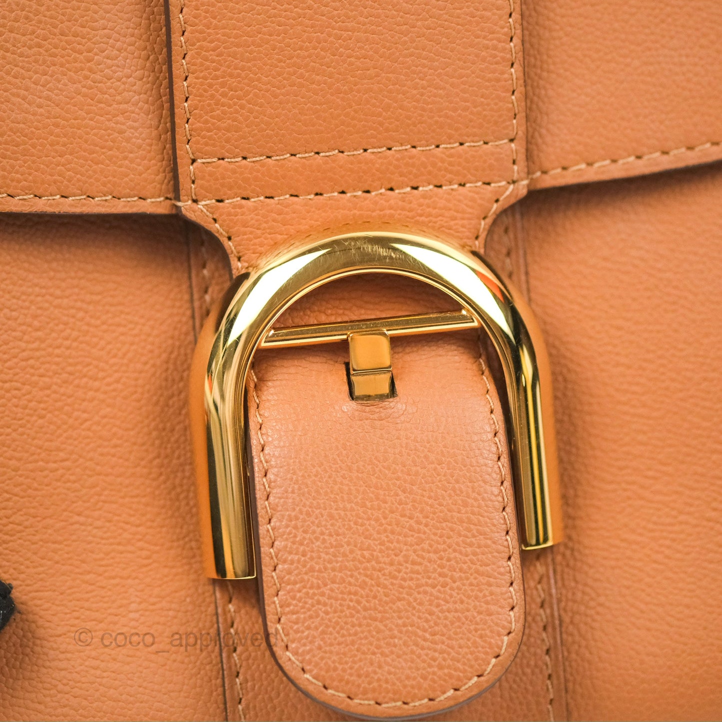 Delvaux Mini Brillant Bag Vegetal Rodeo Calf Gold Hardware