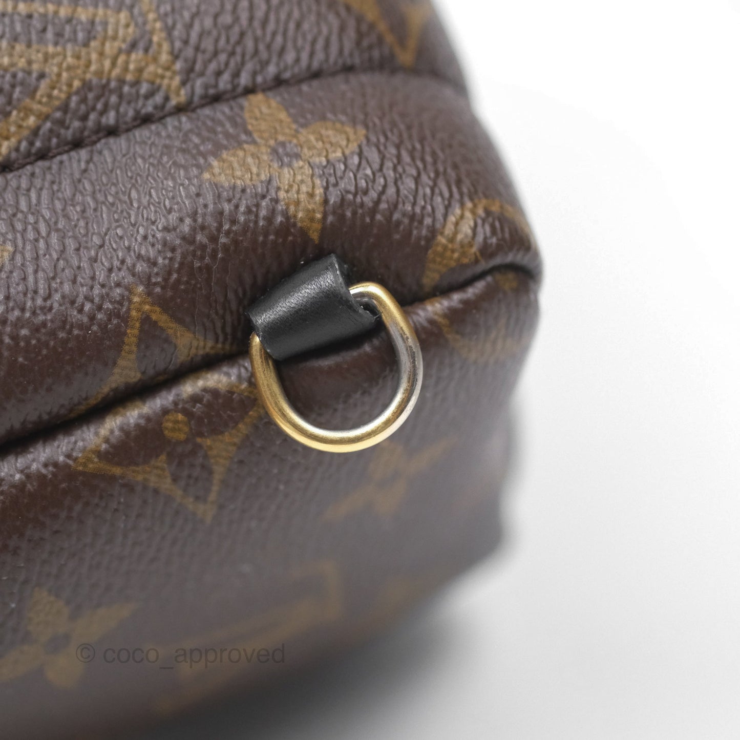Louis Vuitton Monogram Mini Palm Springs Backpack⁣