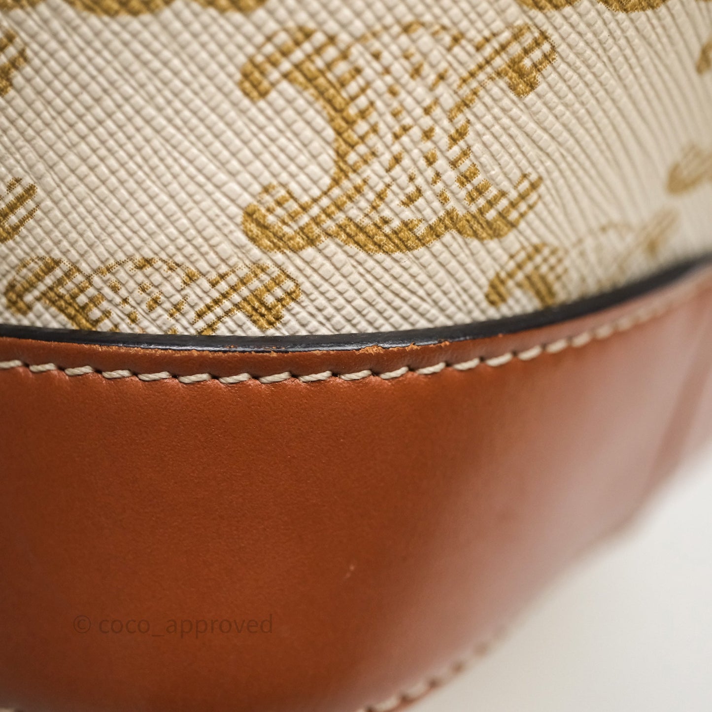 Celine Small Bucket Triomphe Canvas Grege Calfskin