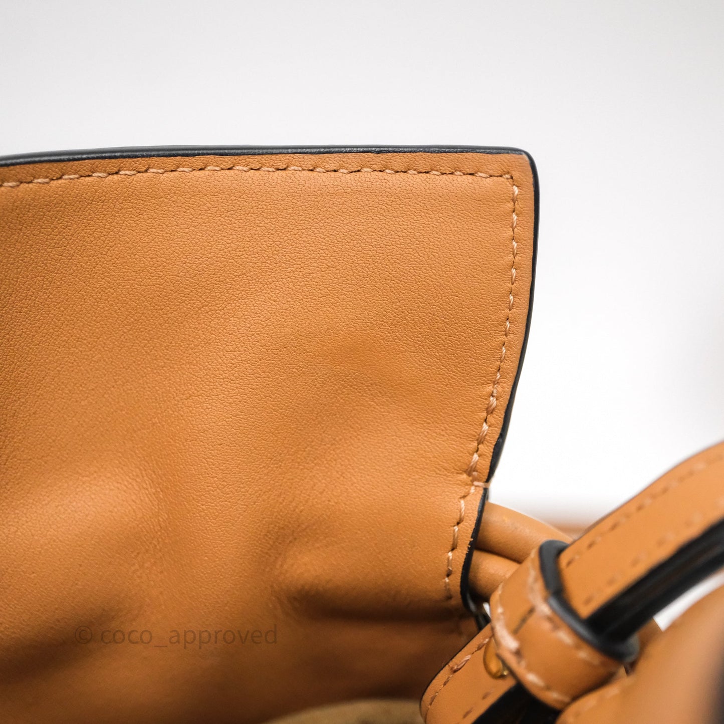 Loewe Flamenco Clutch Mini Bag Gold