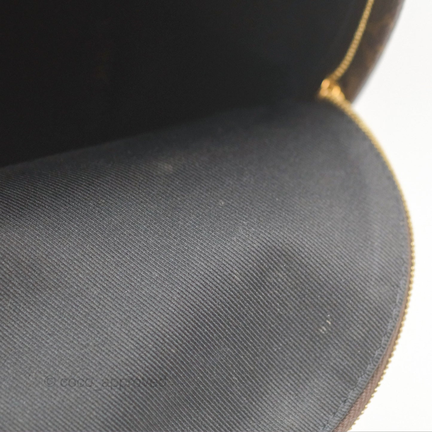 Louis Vuitton Mini Palm Springs Backpack⁣ Monogram