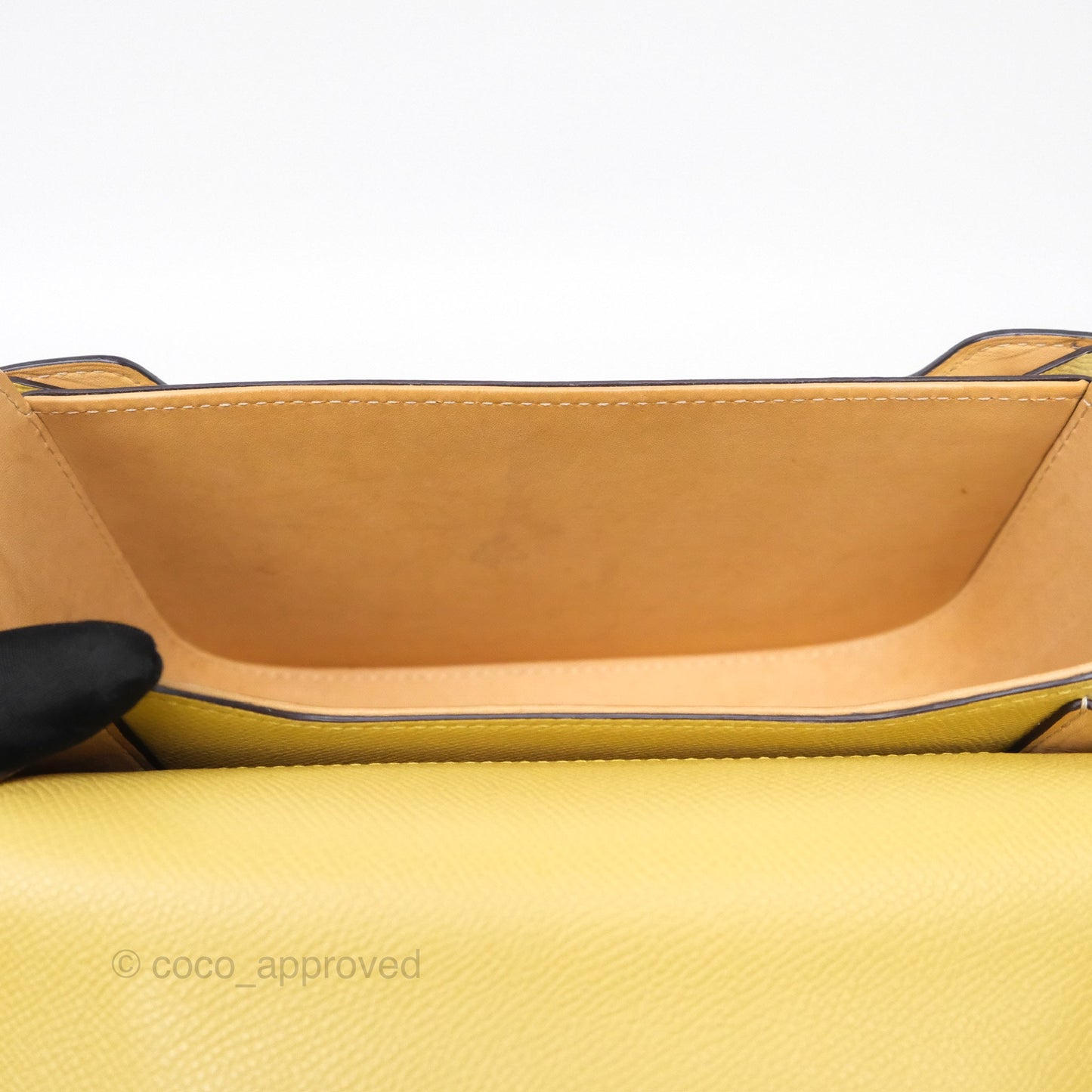 Delvaux Lingot Bag Pollen Alpina Calfskin