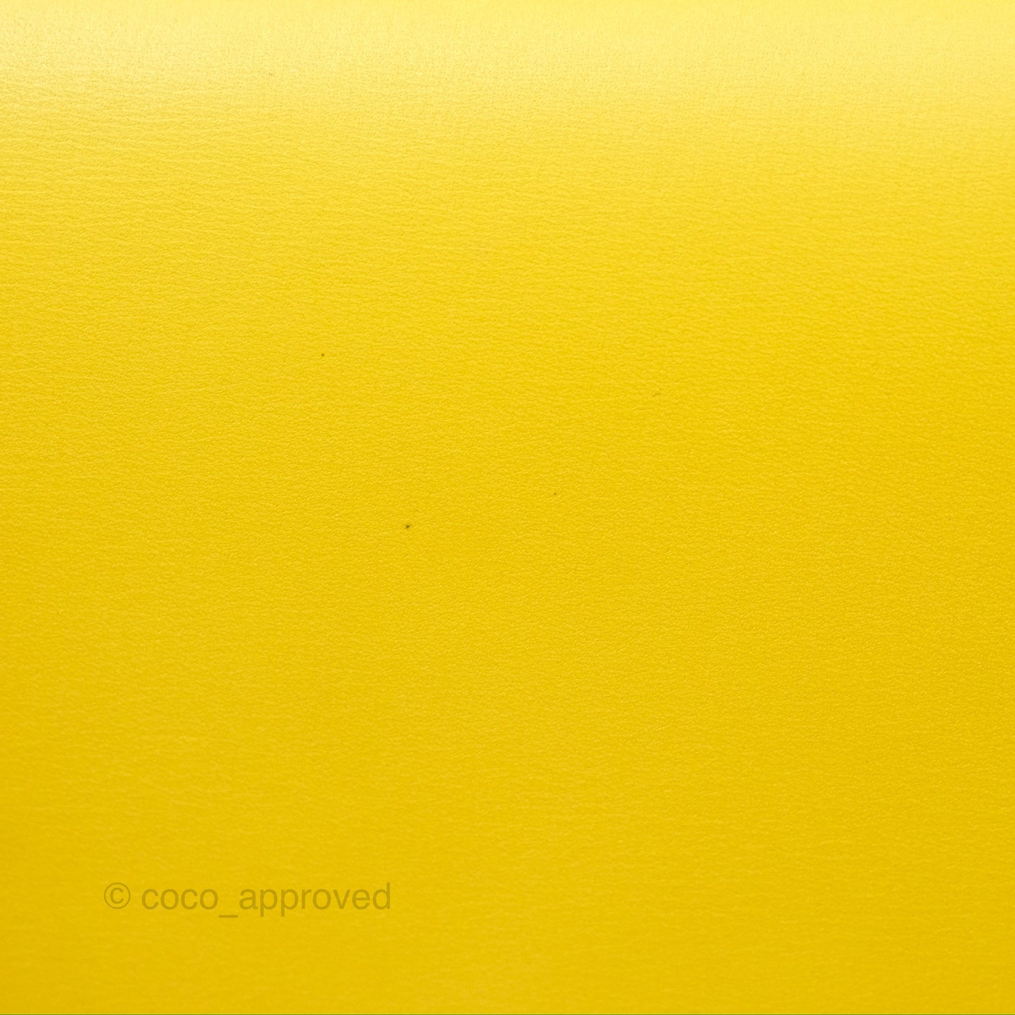 Loewe Small Goya Bag Yellow Silk Calfskin