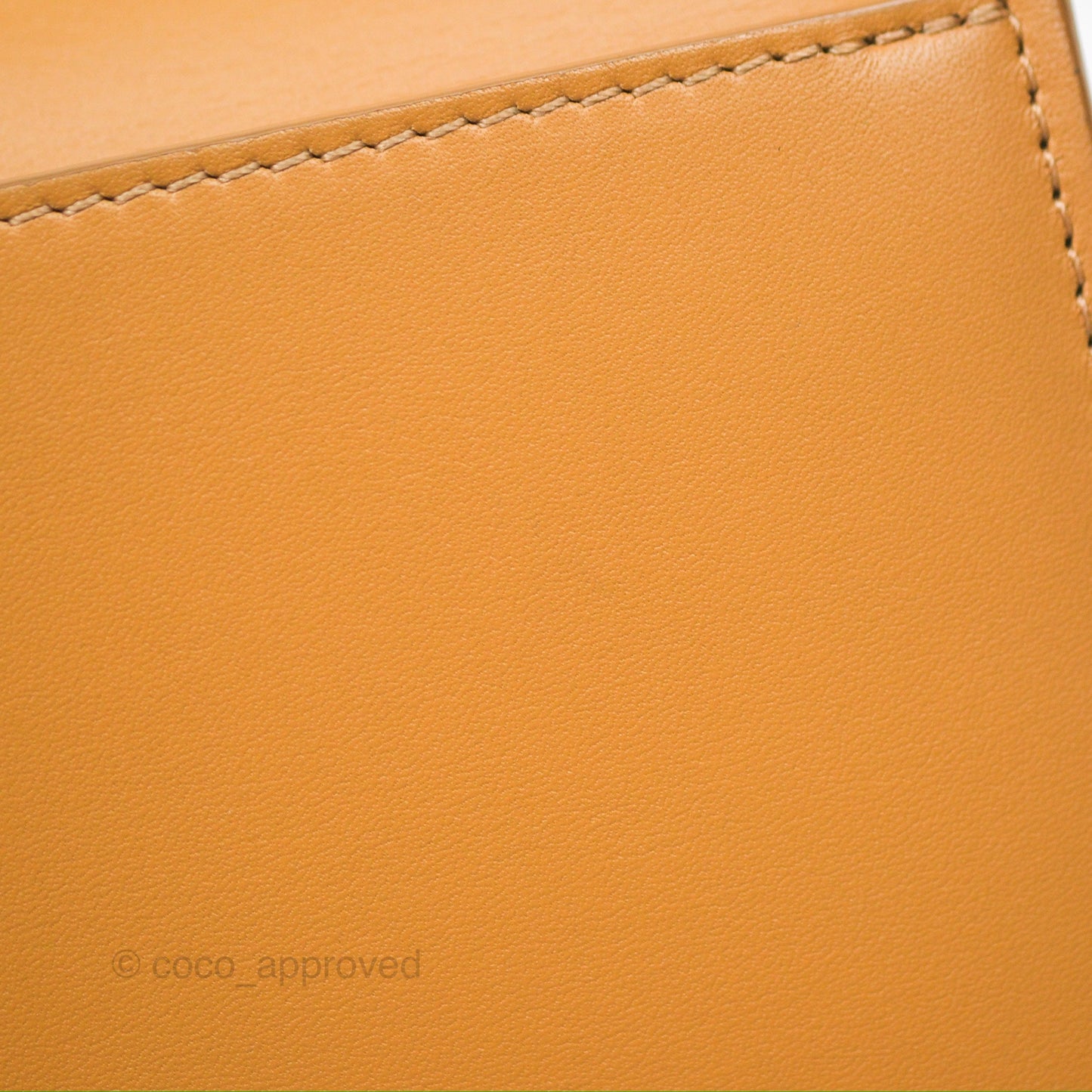 Loewe Small Goya Bag Warm Desert Silk Calfskin