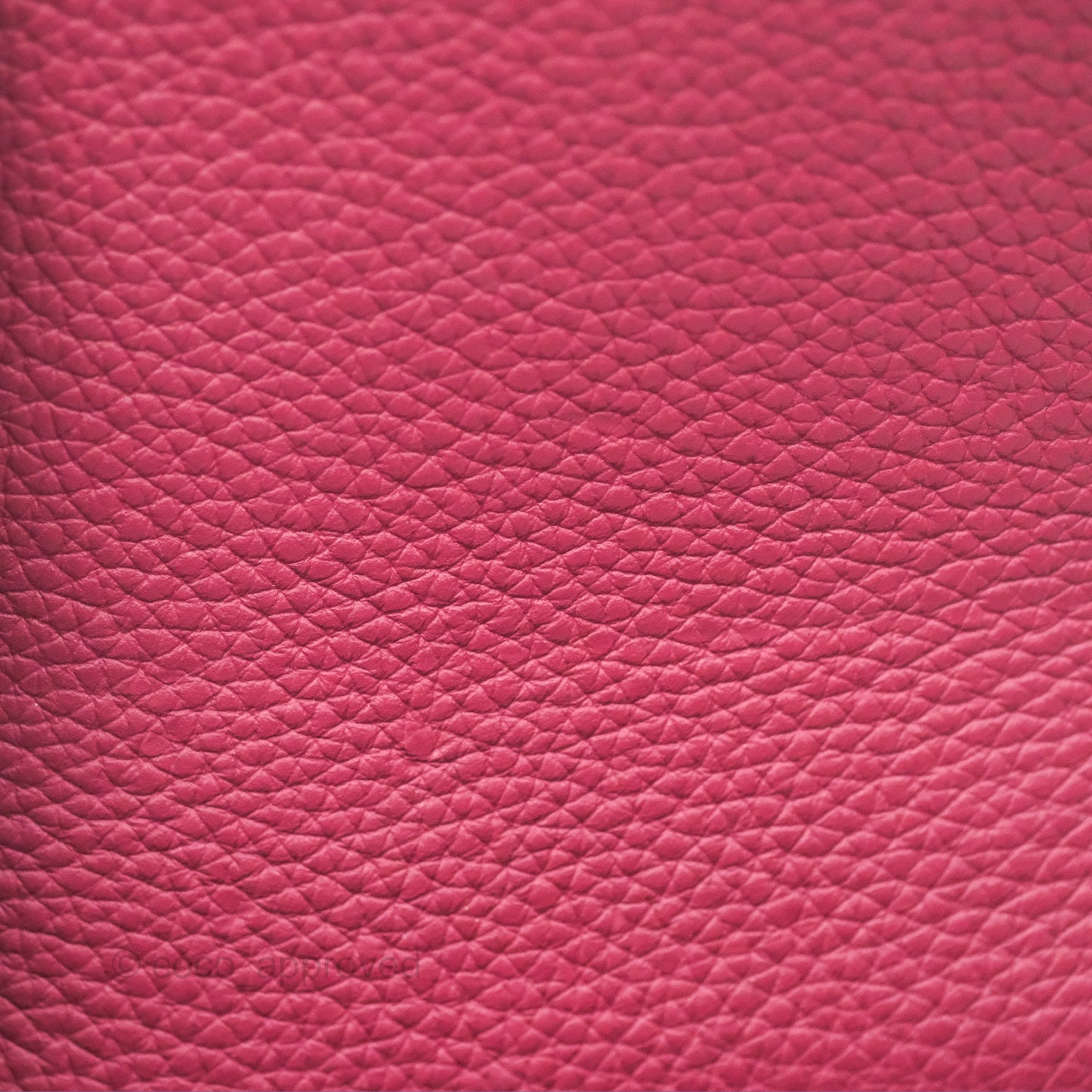 Moynat Réjane Nano Litchi Taurillon Blush Leather