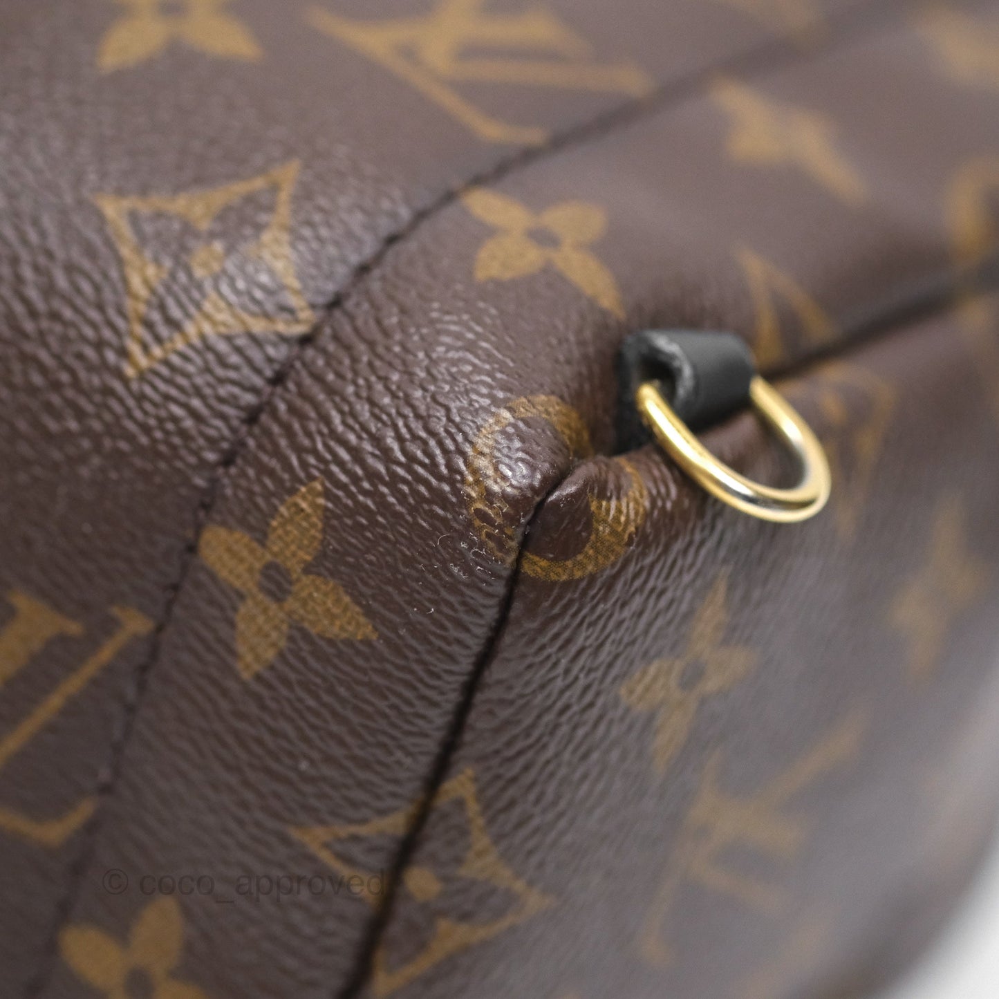 Louis Vuitton Monogram Mini Palm Springs Backpack⁣
