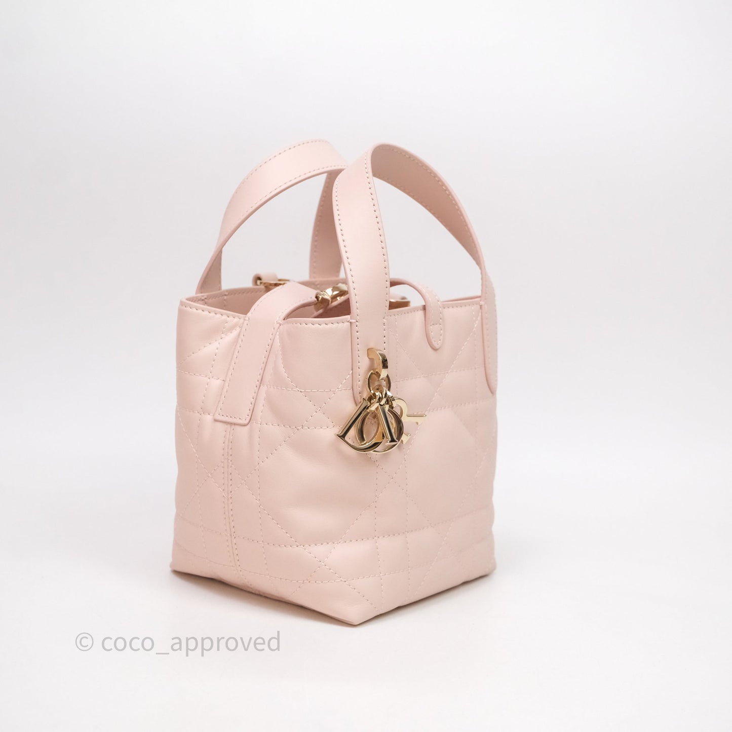 Christian Dior Toujours Vertical Nano Tote Bag Pink