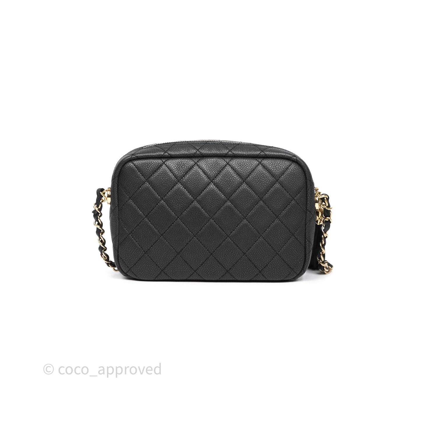 Chanel Camera Bag Black Matte Caviar Gold Hardware