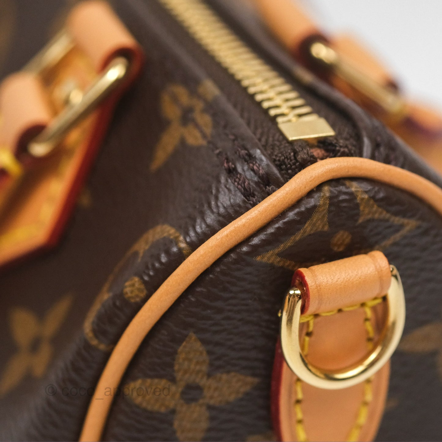 Louis Vuitton Nano Speedy Monogram