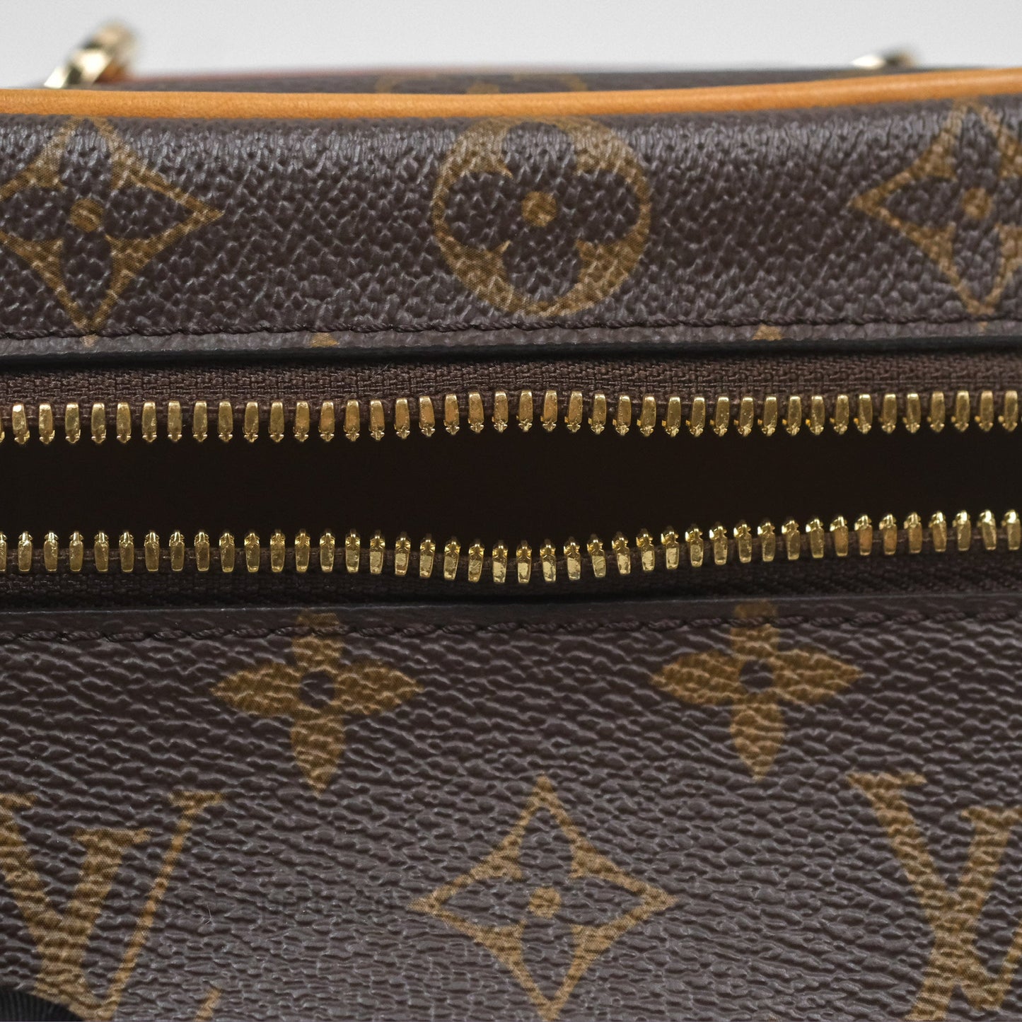 Louis Vuitton Nano Nice Monogram