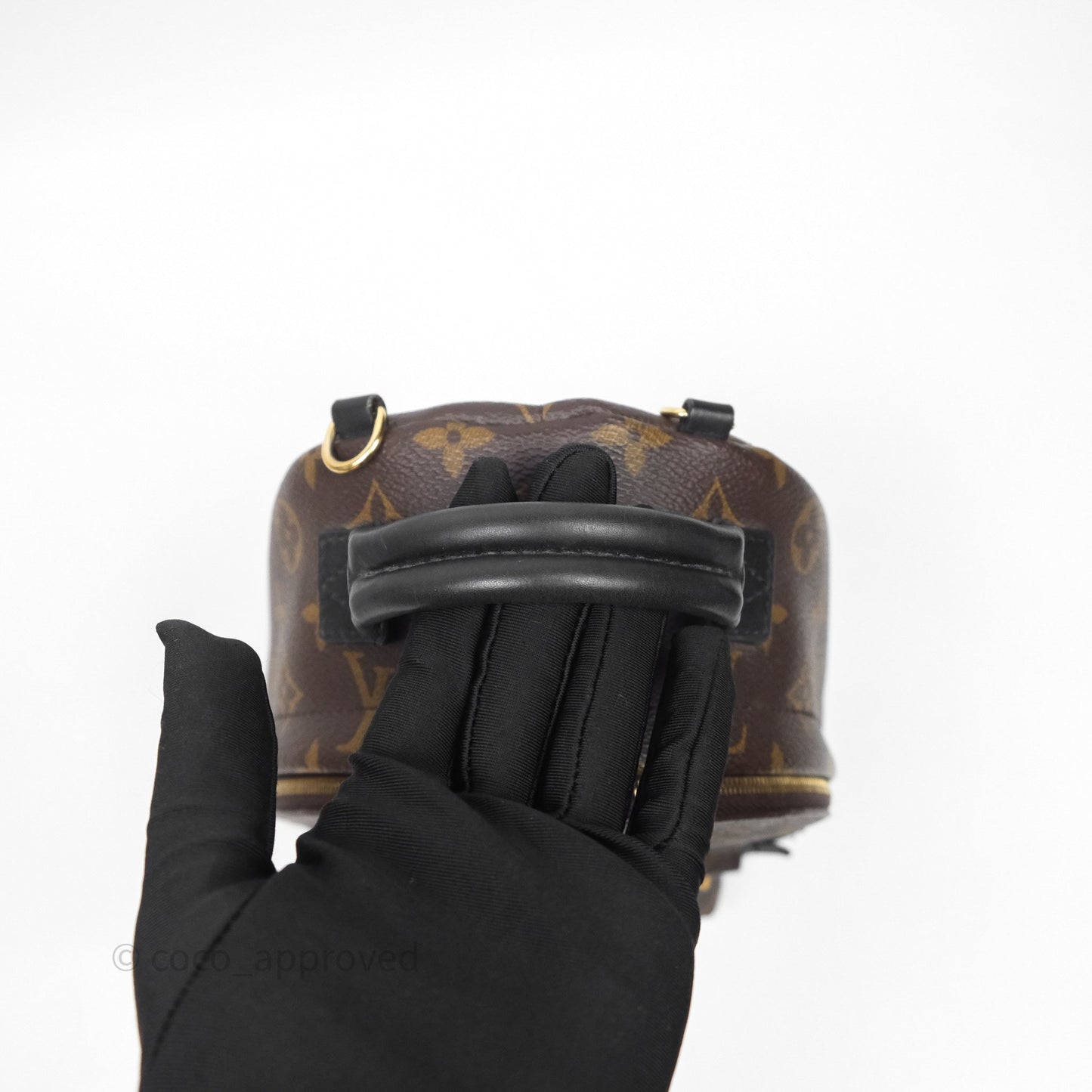 Louis Vuitton Mini Palm Springs Backpack⁣ Monogram