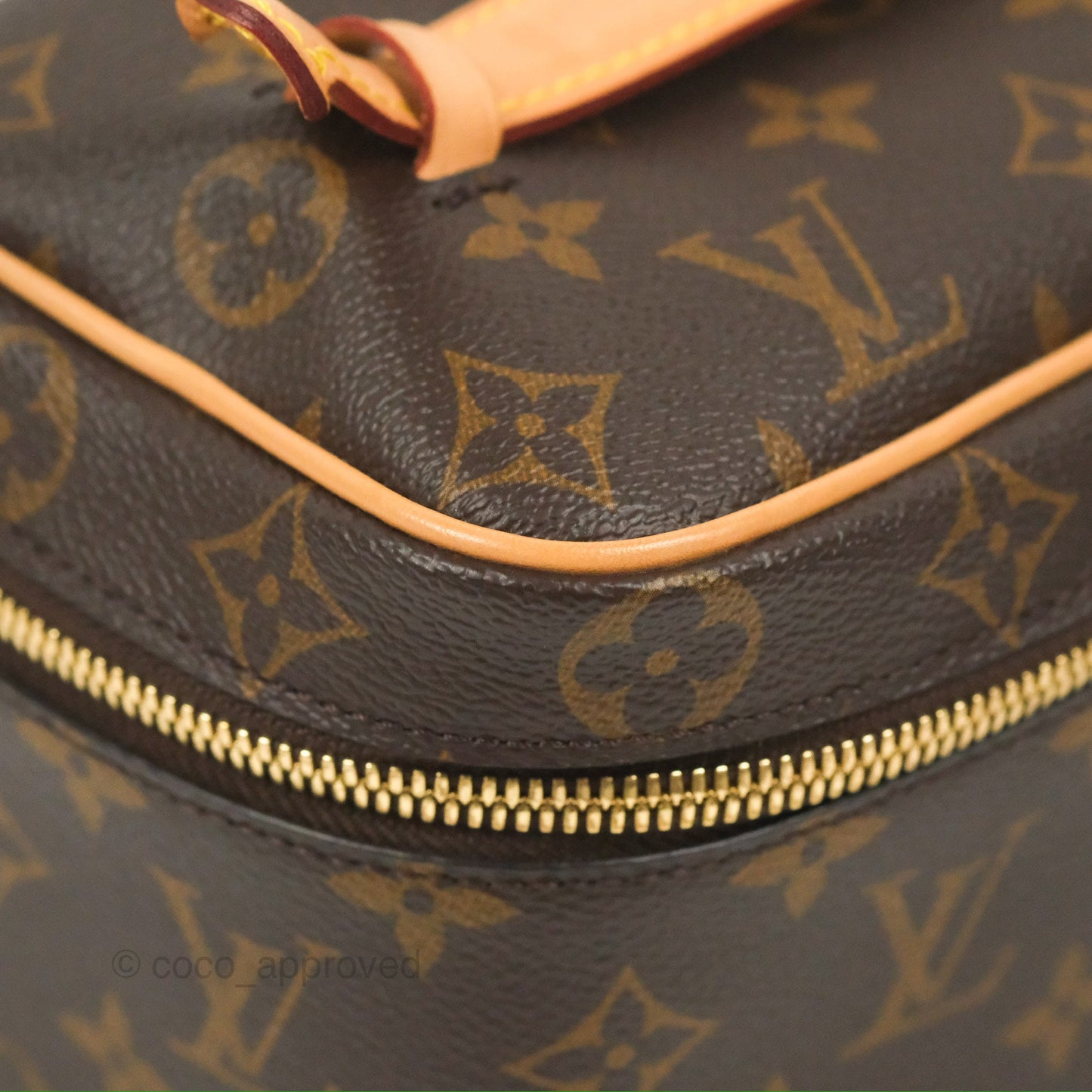 Louis Vuitton Nice Mini Monogram Canvas