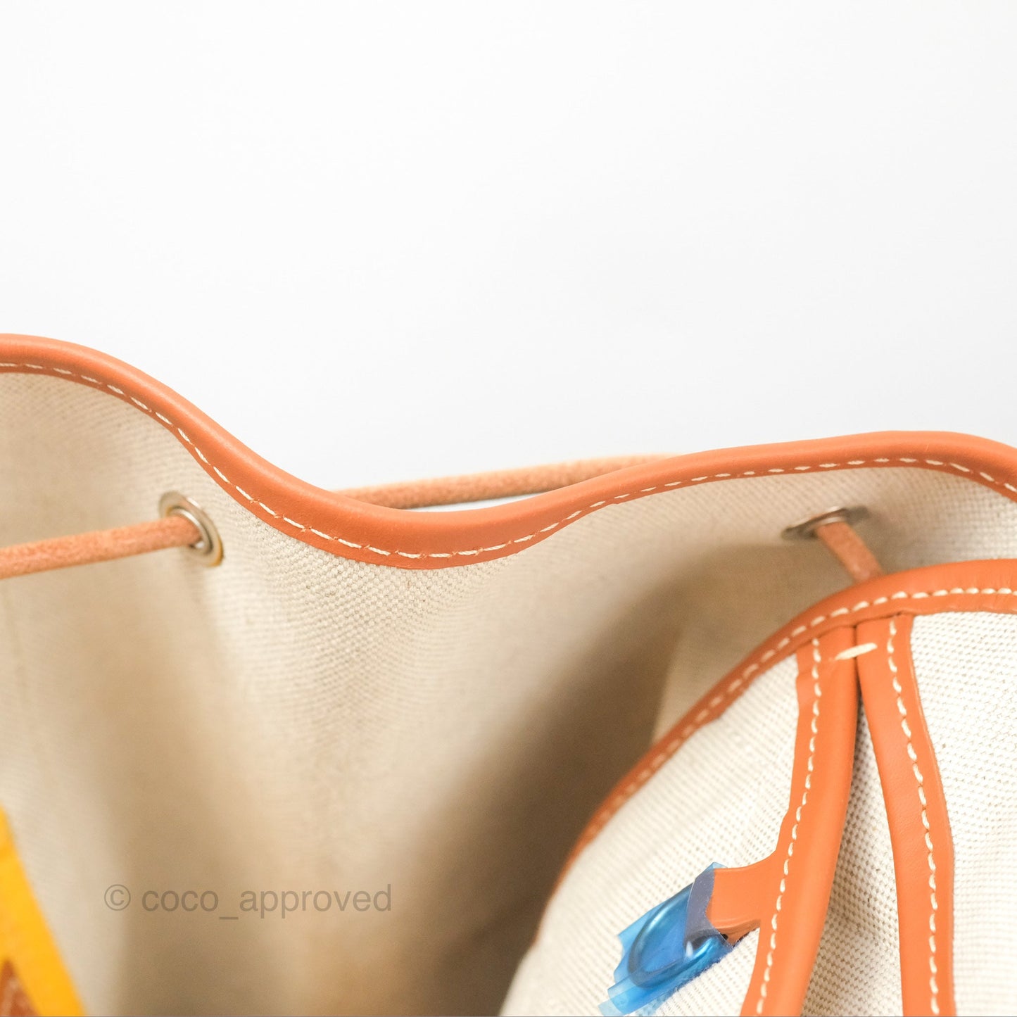 Goyard Alpin MM Backpack Black/ Tan