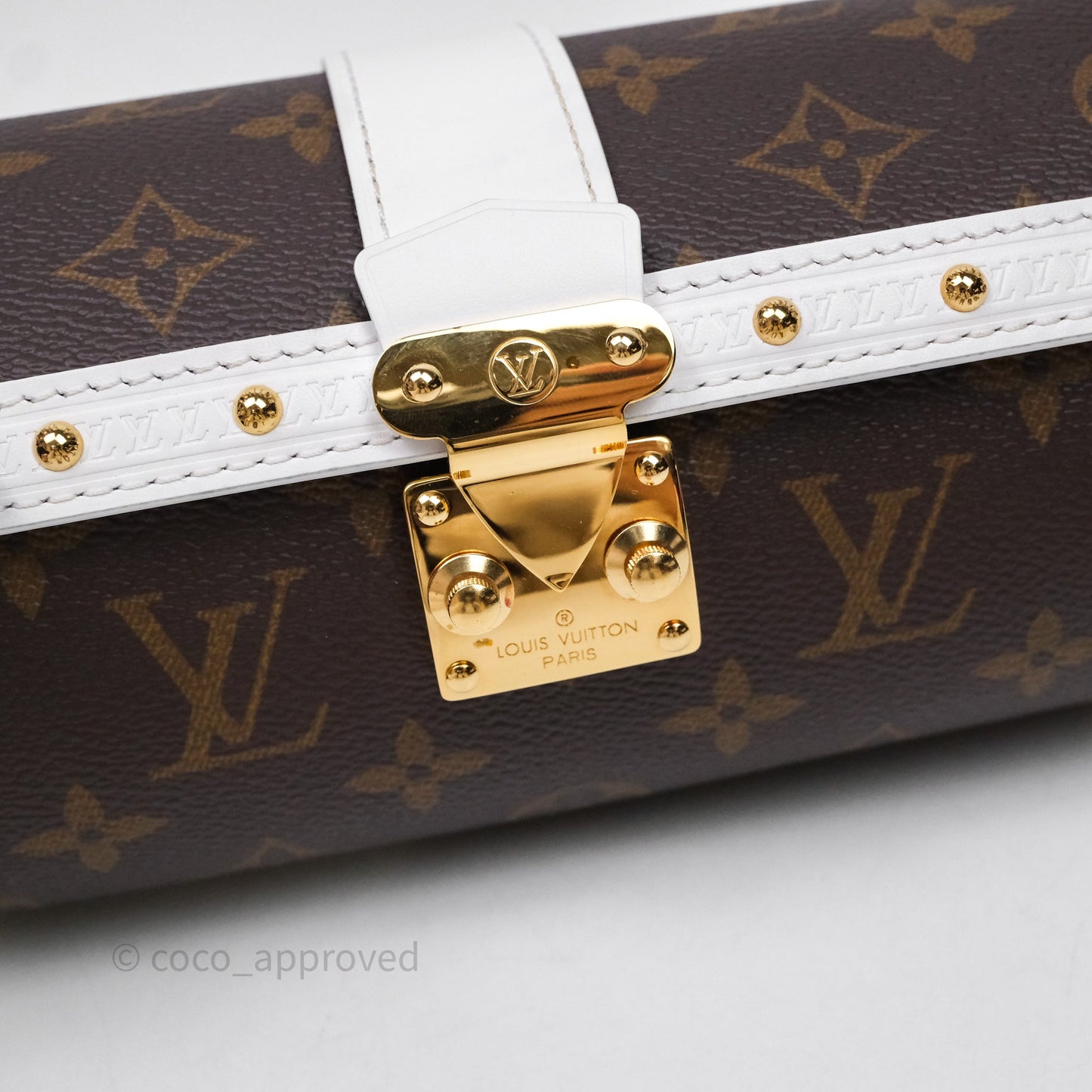 Louis Vuitton Monogram Papillon Trunk Bag