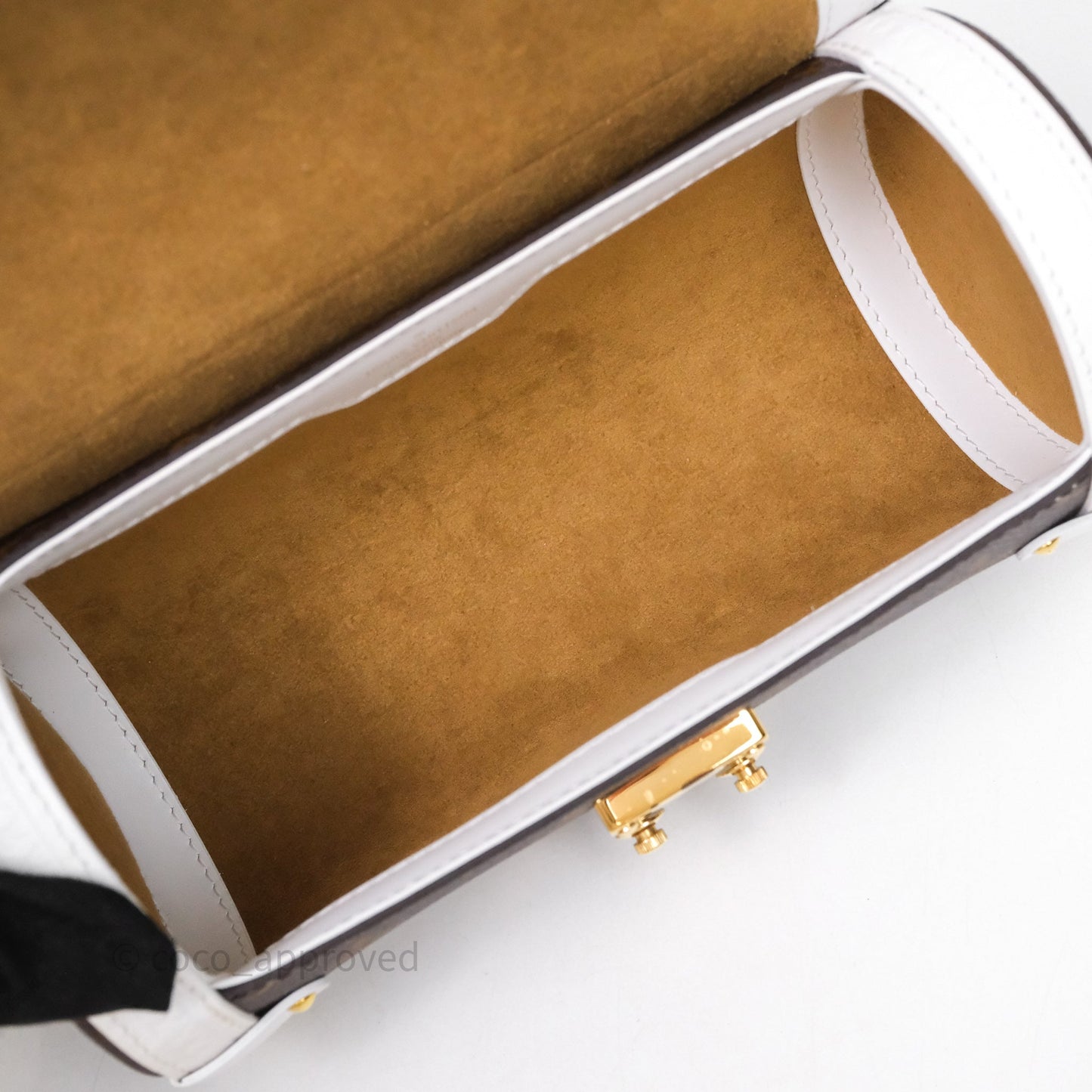 Louis Vuitton Monogram Papillon Trunk Bag