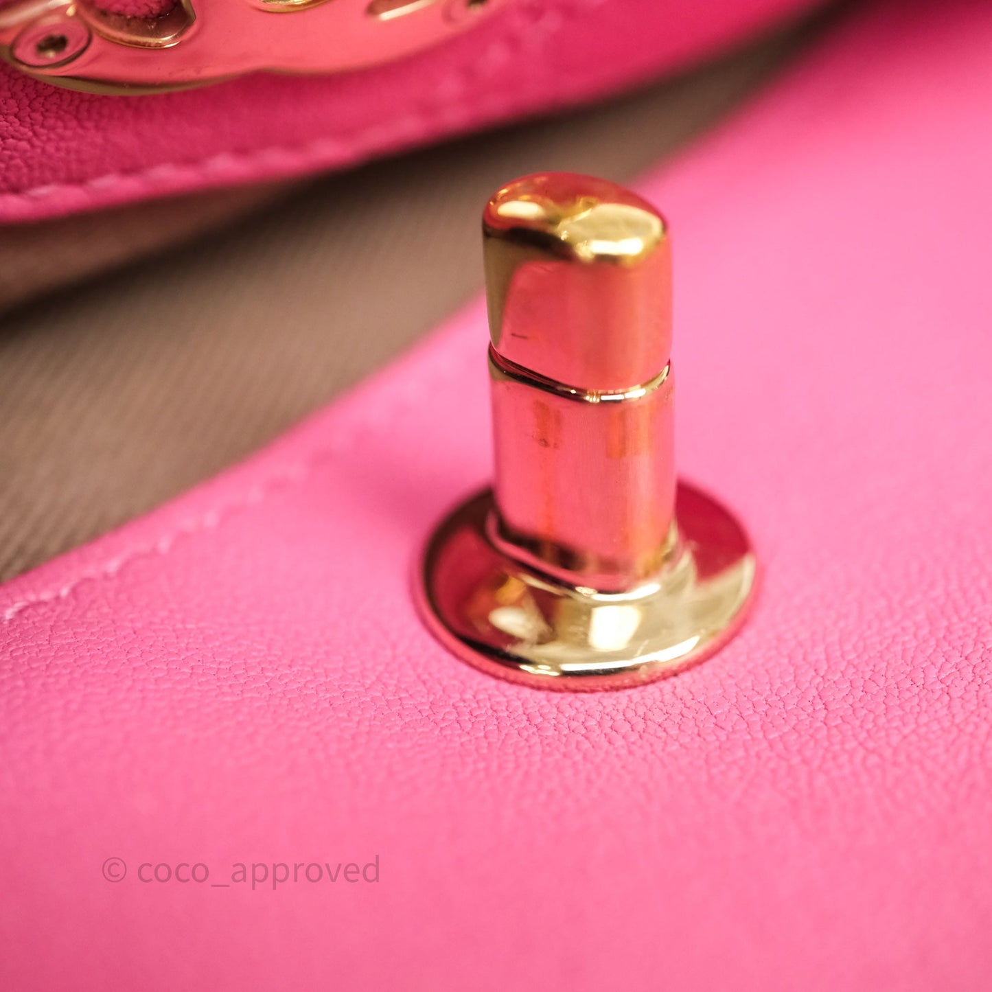 Chanel Camera Bag Pink Calfskin Aged Gold Hardware