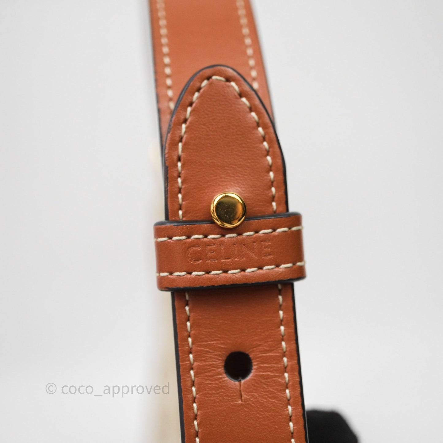 Celine Ava Bag In Triomphe Canvas Calfskin Grege