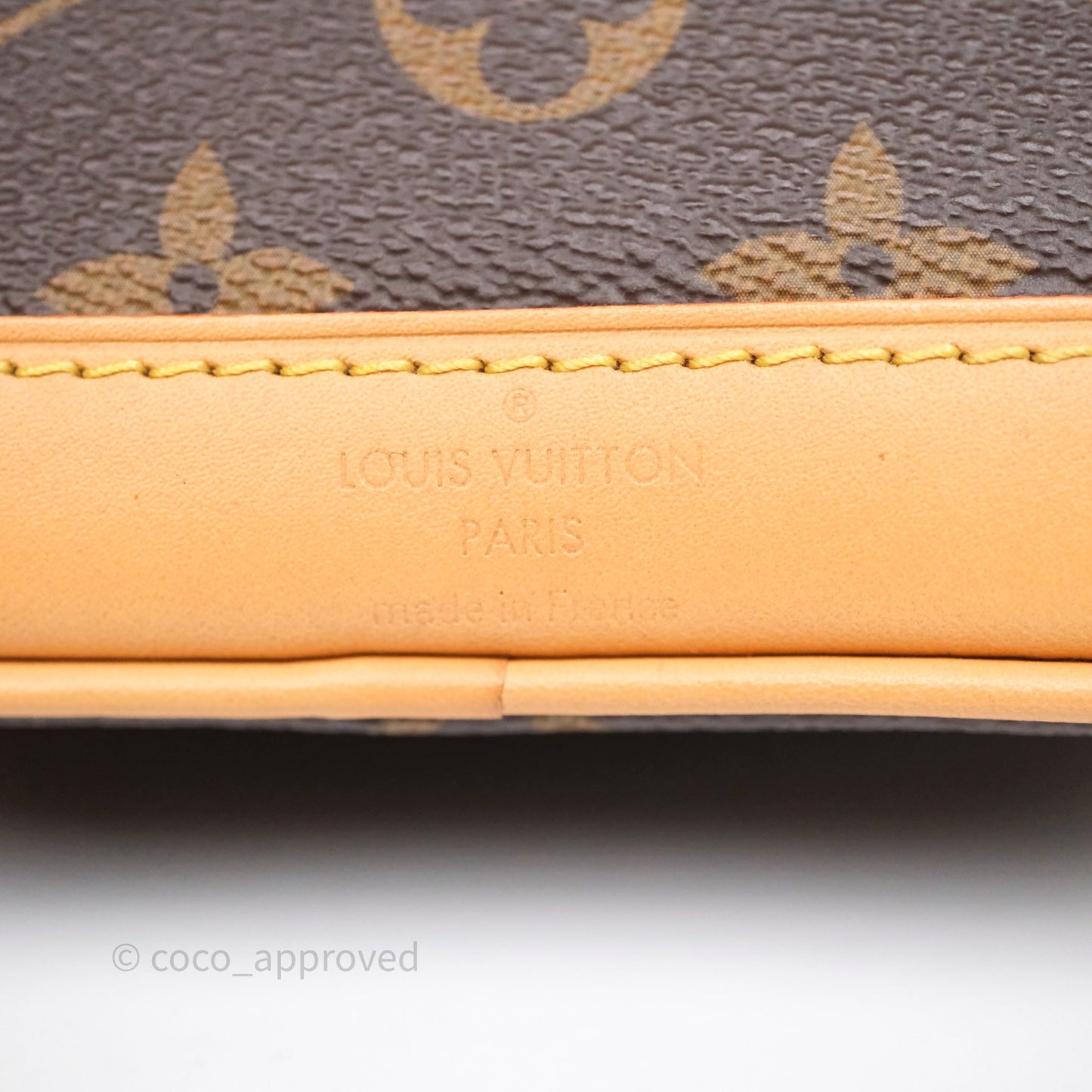 Louis Vuitton Nano Noe Monogram