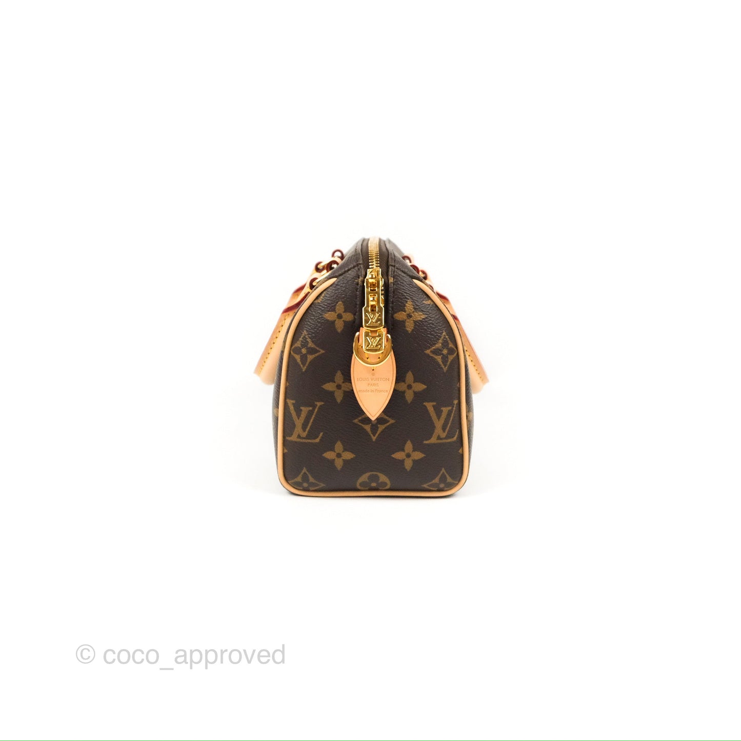 Louis Vuitton Speedy Bandoulière 20 Monogram