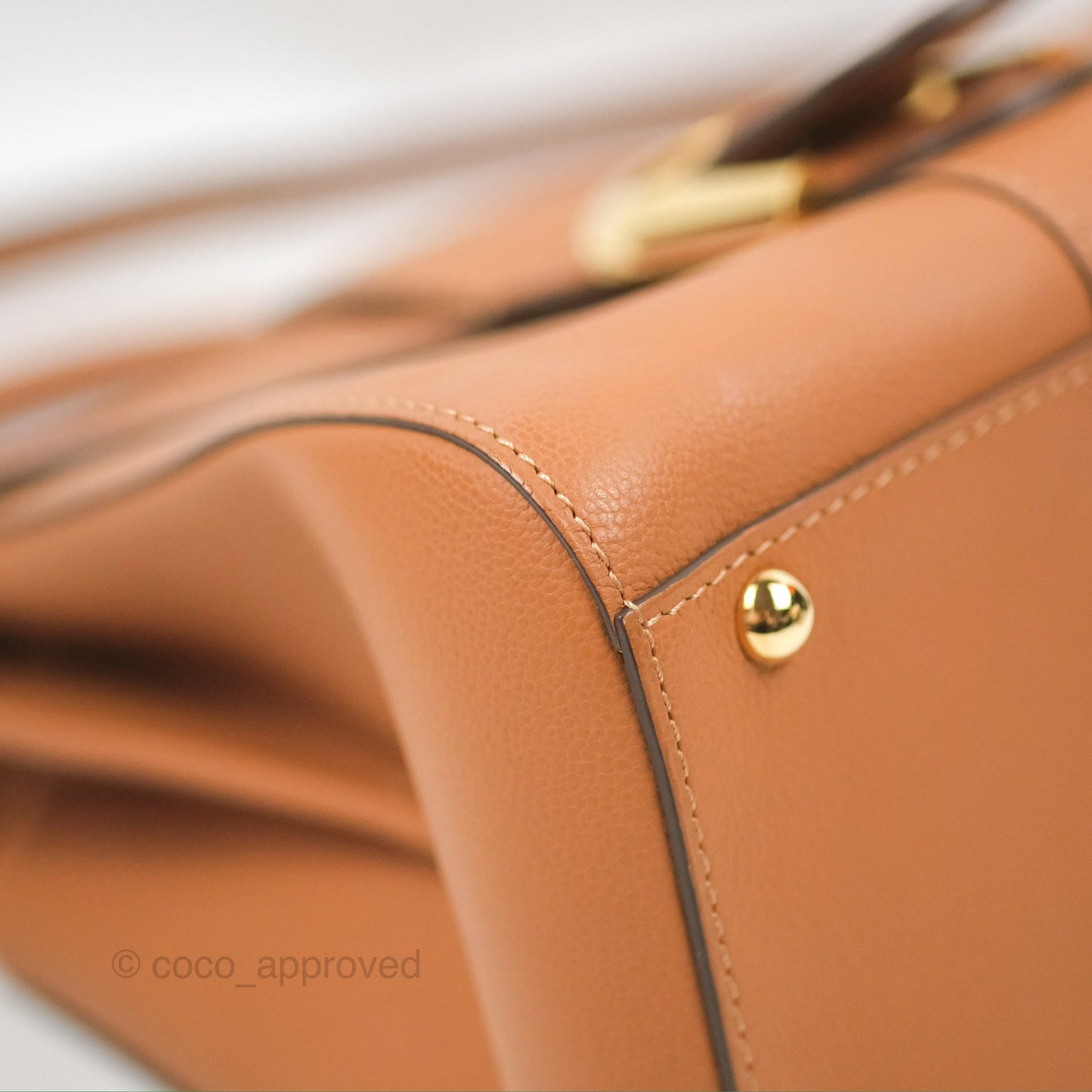 Delvaux Mini Brillant Bag Vegetal Rodeo Calf Gold Hardware